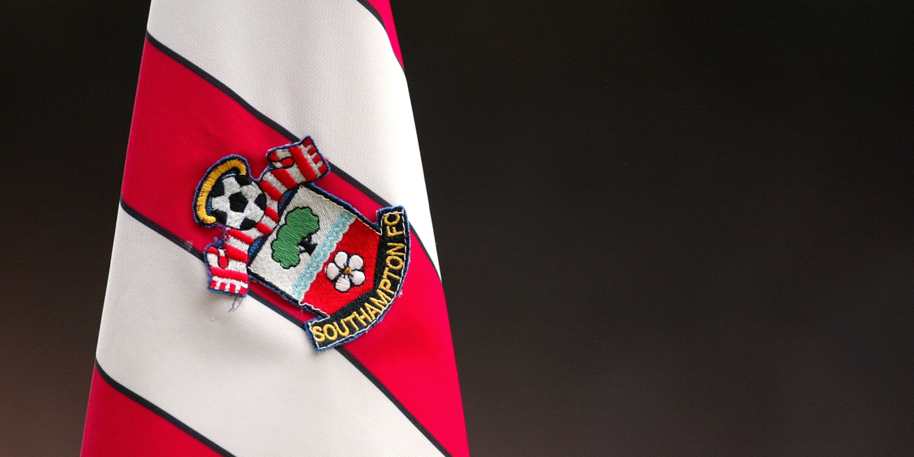 Southampton flag