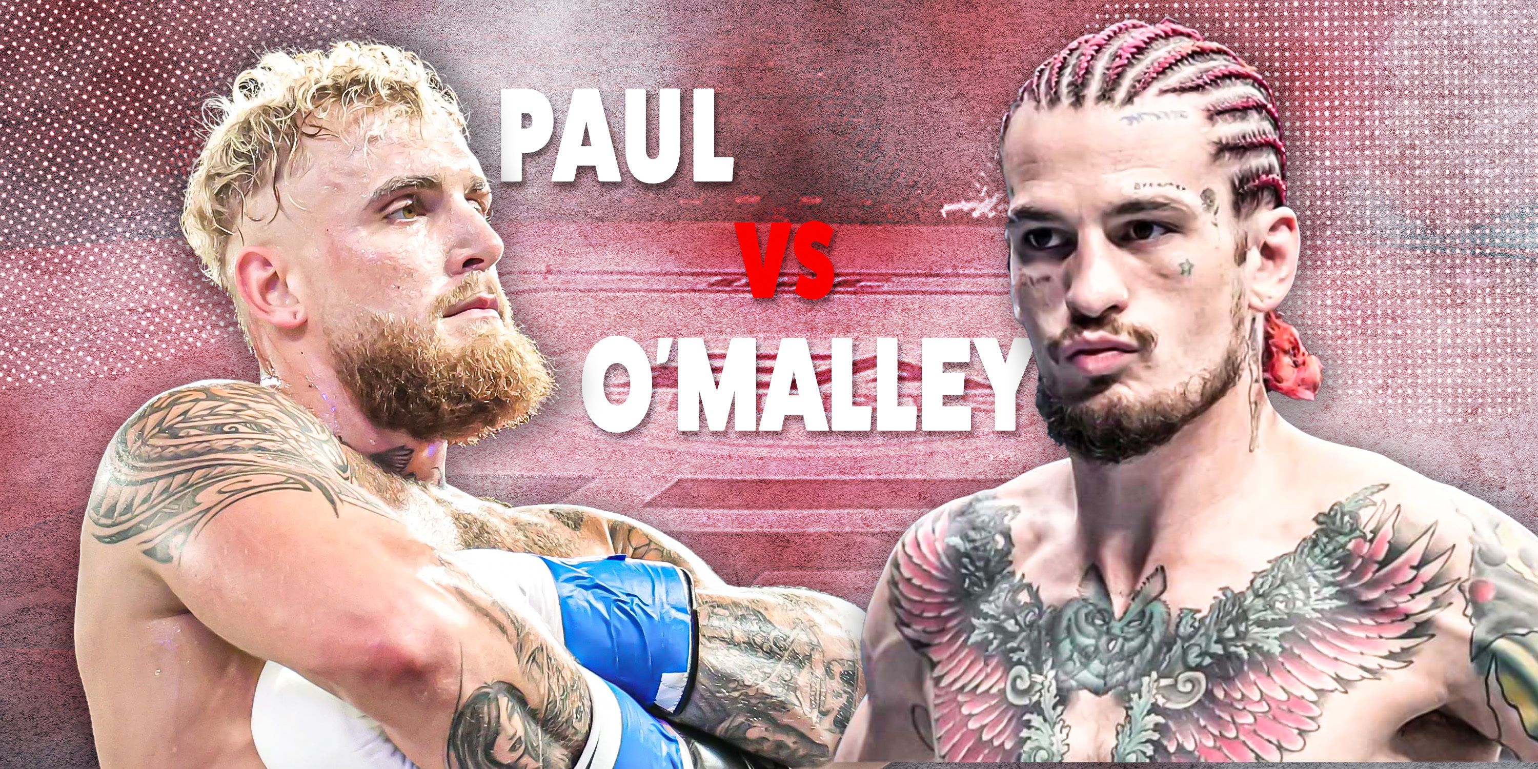 Jake Paul & Sean O'Malley Have Face-Off After UFC 303 Offer