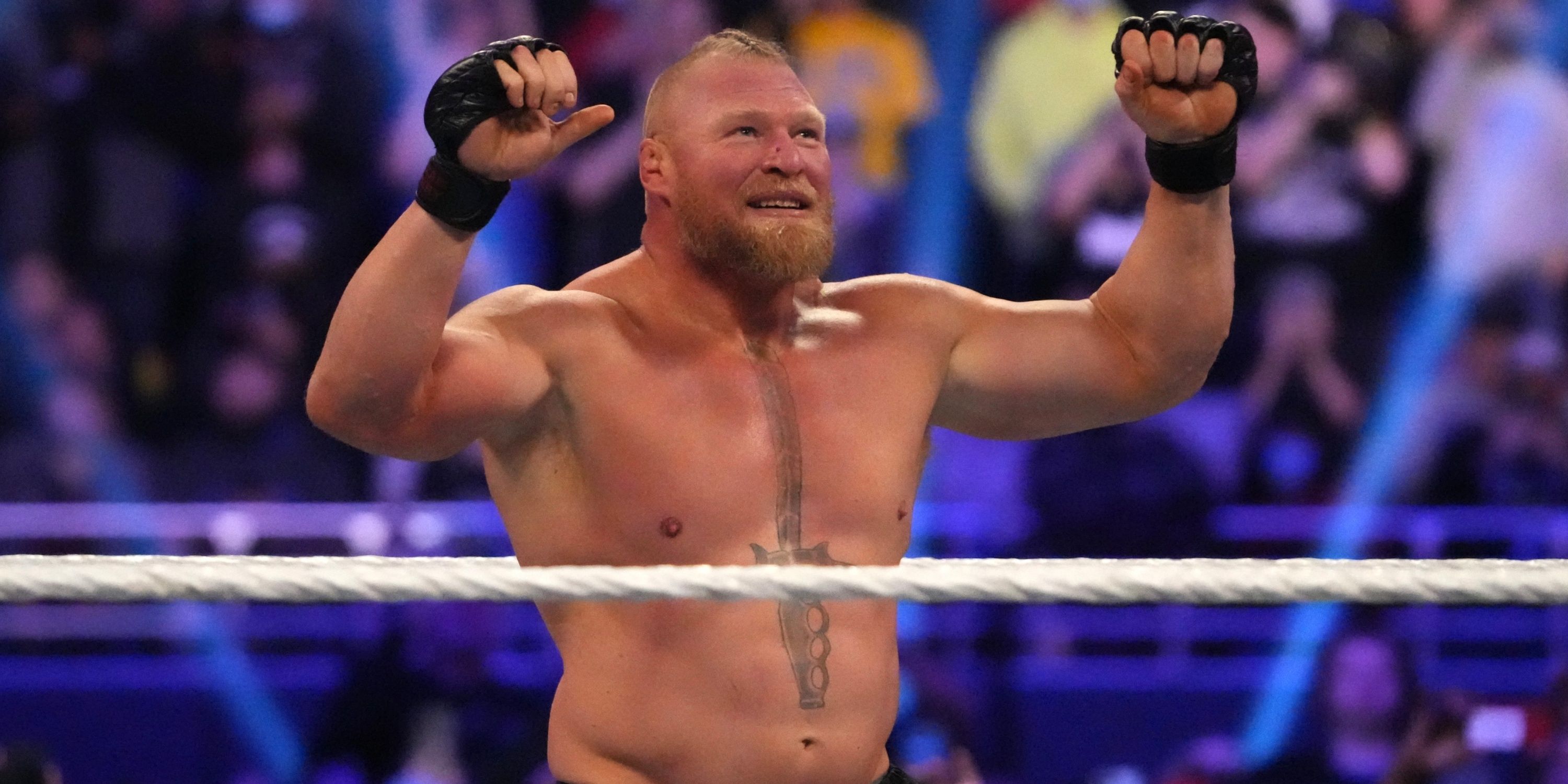 Huge Update on Brock Lesnar's WWE Future