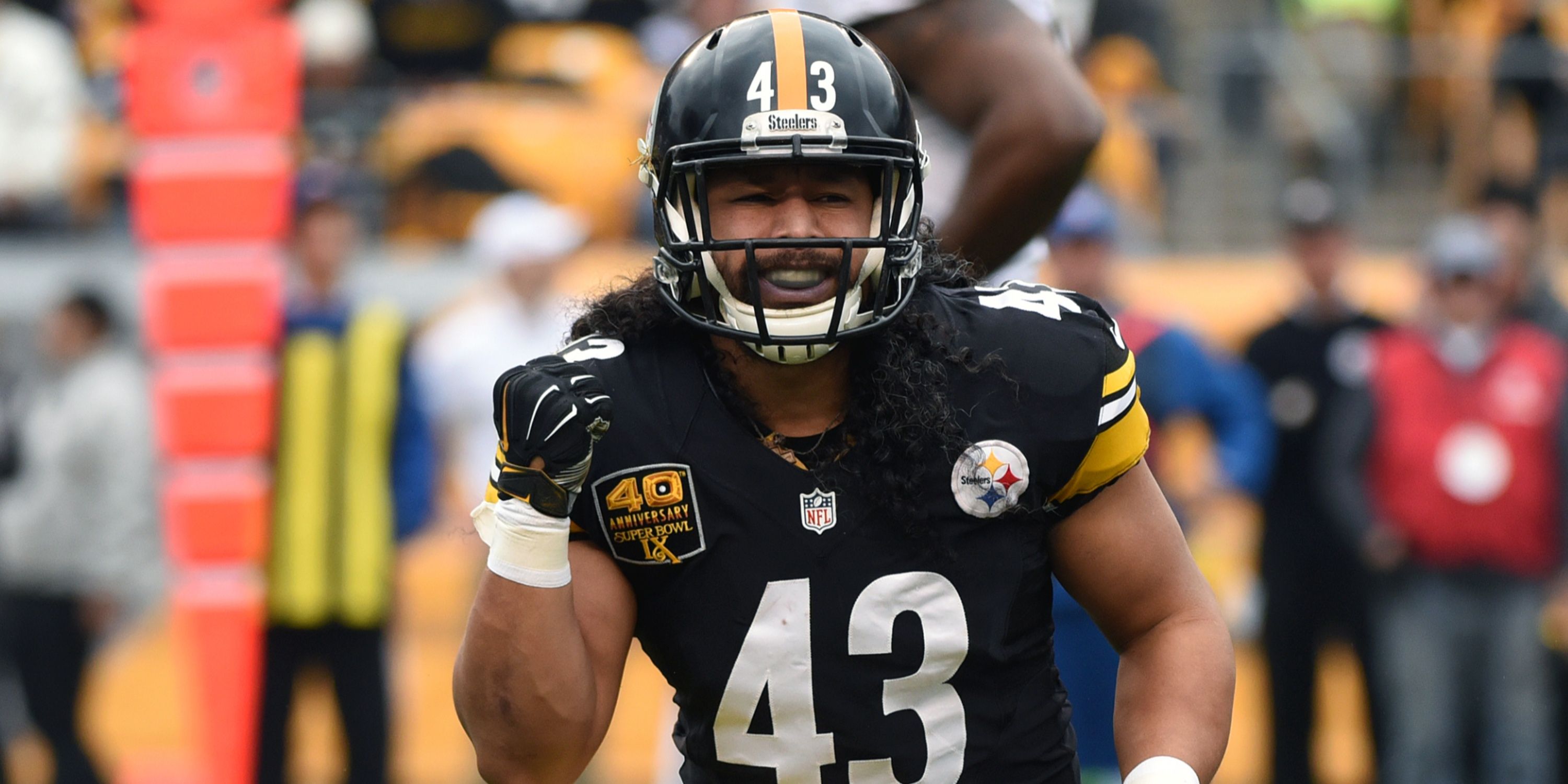 Troy Polamalu