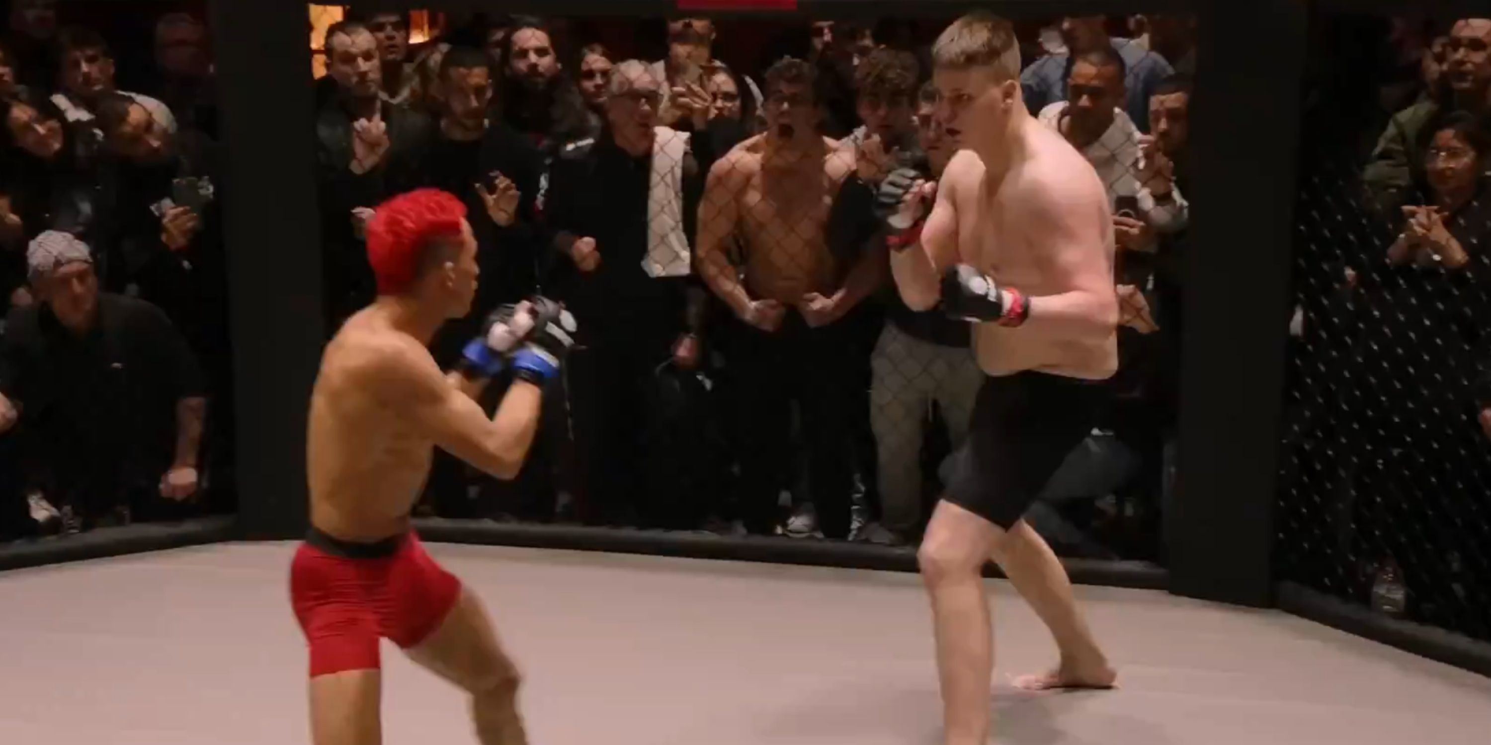 6ft-8-heavyweight-mma-fighter-fights-5ft-3-jiu-jitsu-black-belt
