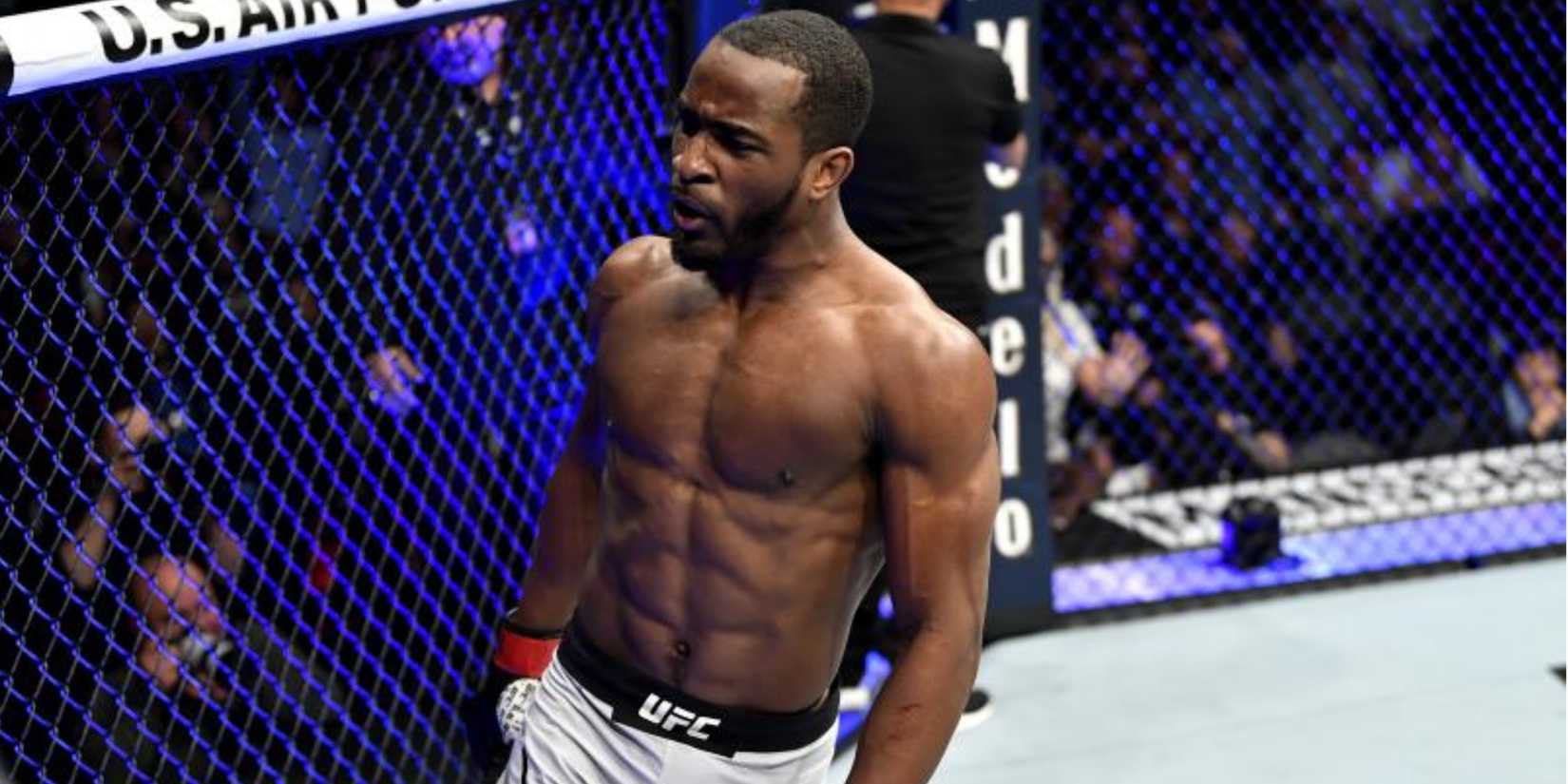 The Best Contract Winners from Dana White's Contender Series [Ranked]