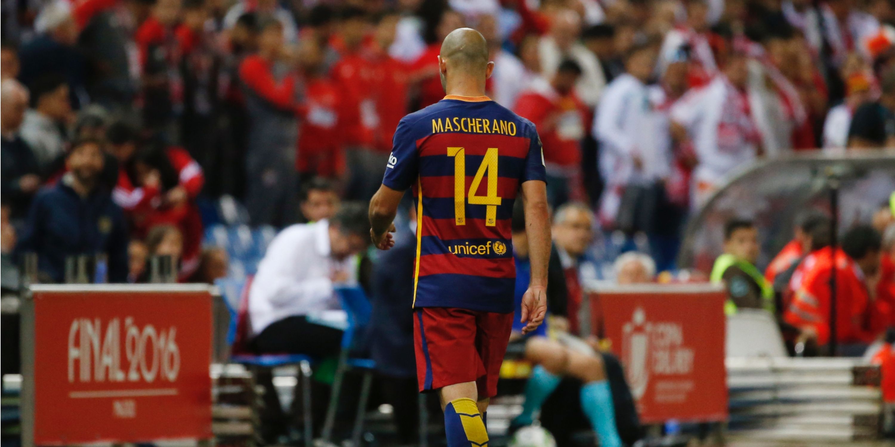 MixCollage-21-Aug-2024-07-30-PM-6253-1