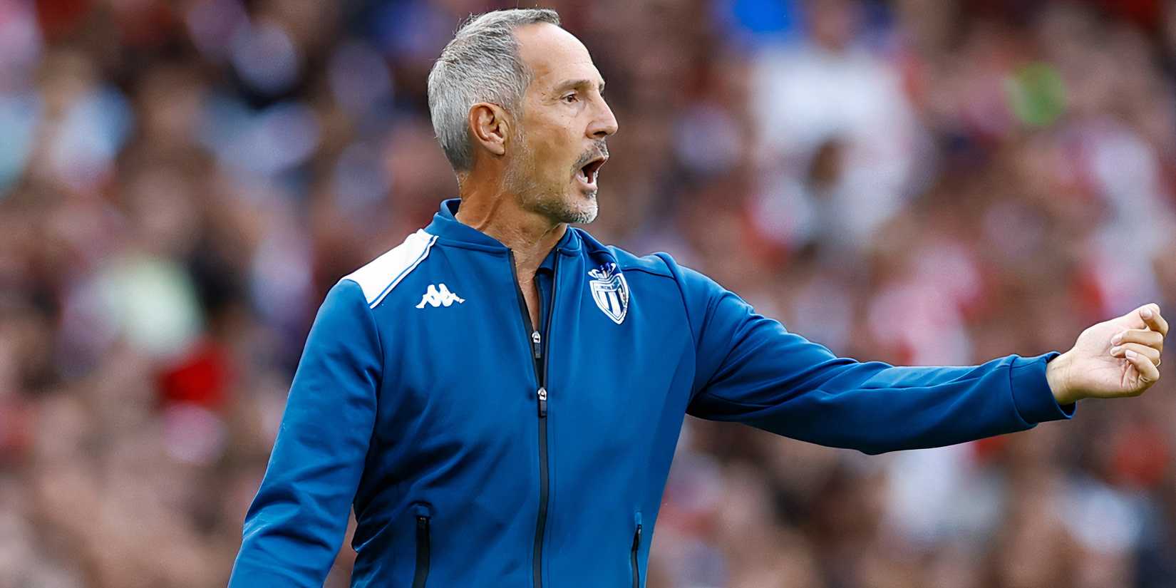 Adam Hutter Decision Made: Adi Hutter Rejects Chance to Take Tottenham Job Now