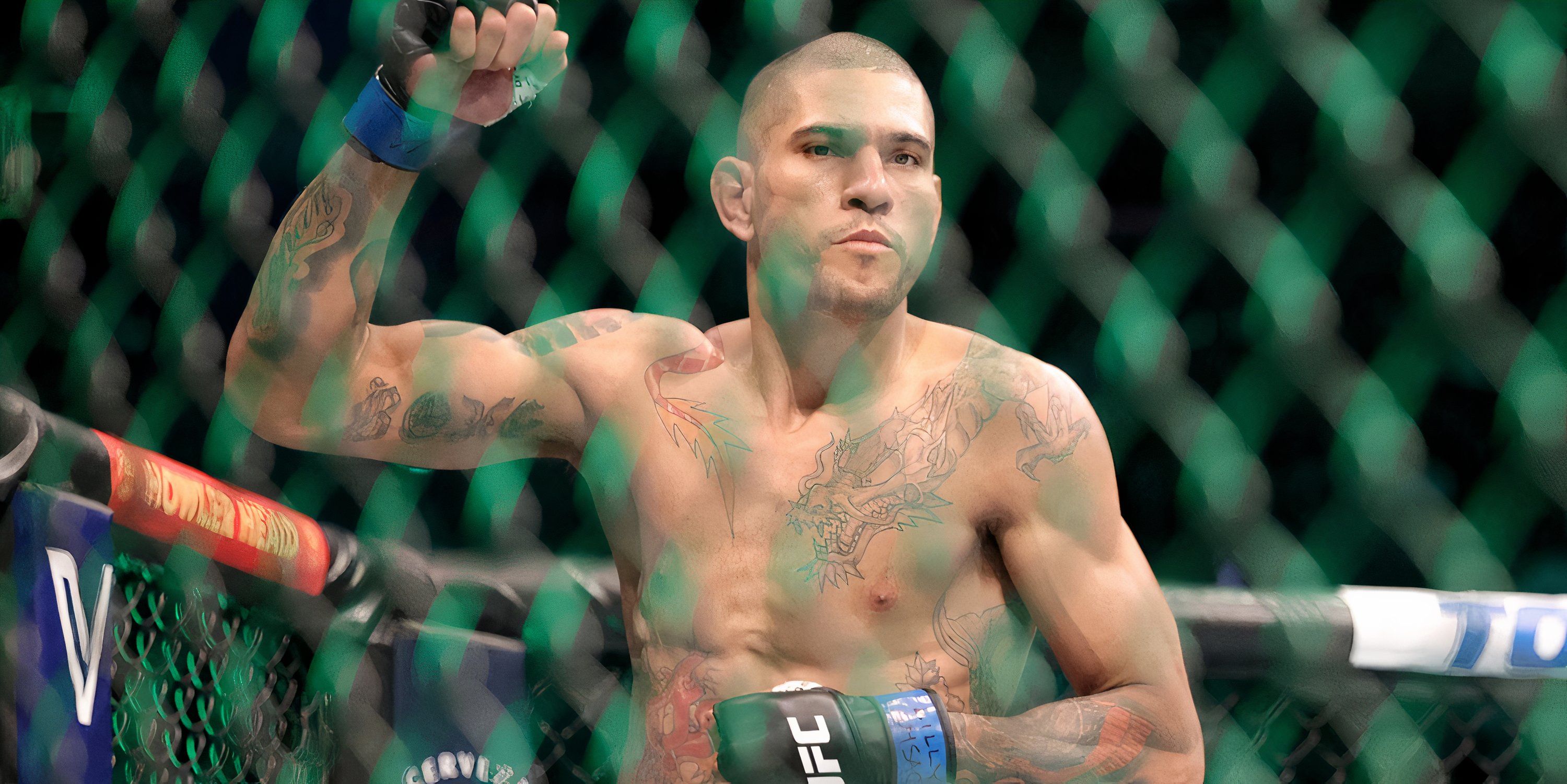 UFC's No.1 Contender is Essentially Calling Alex Pereira a Chicken