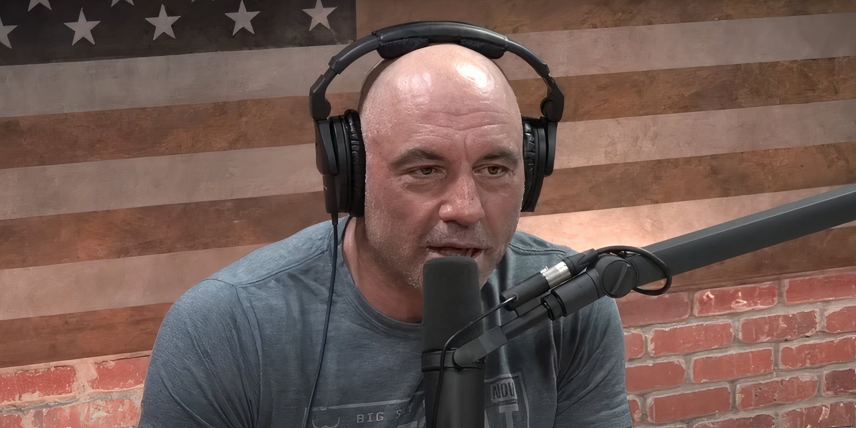 Joe Rogan Wants to Help Drake Get Rid of a UFC Curse