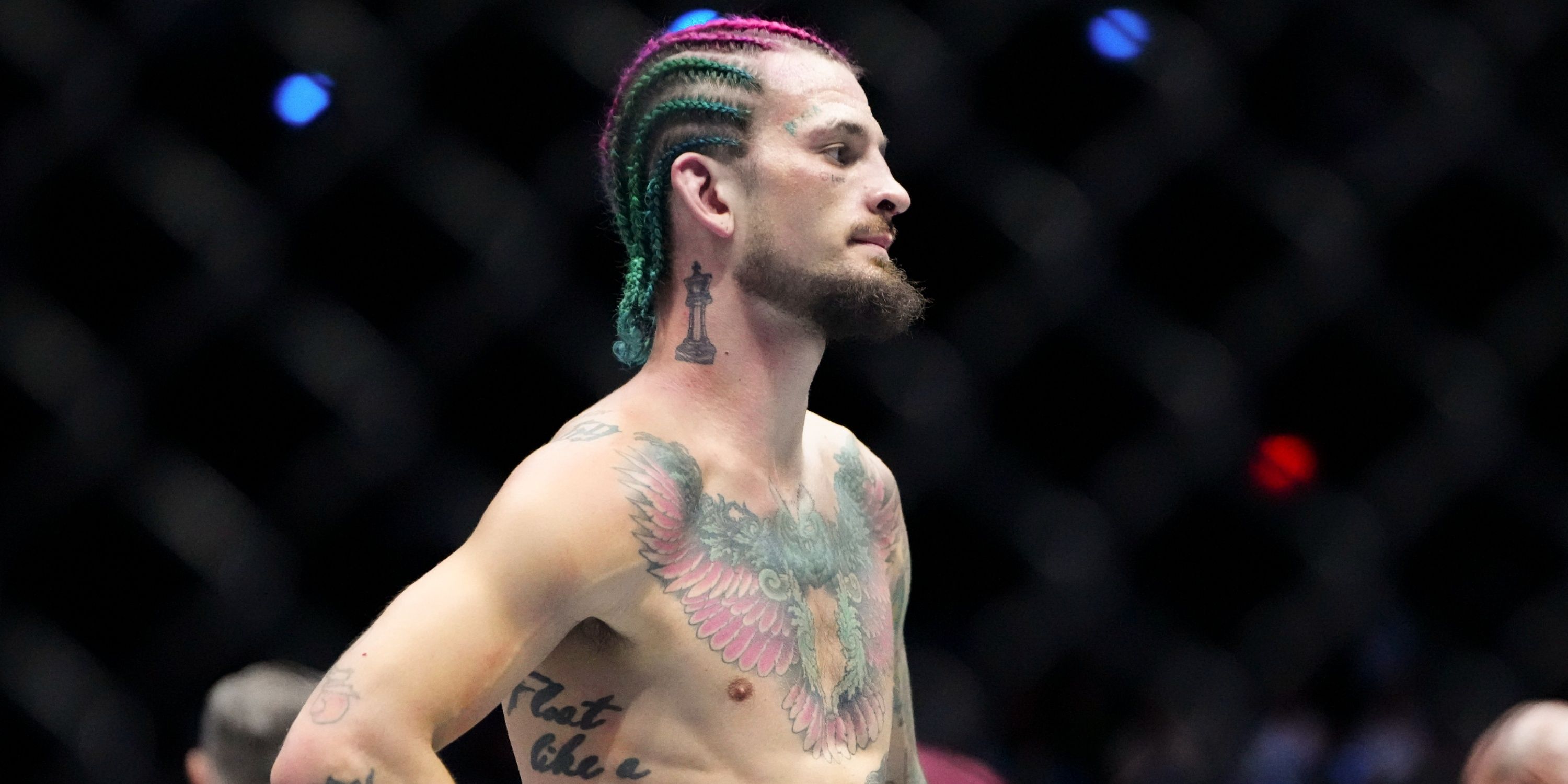Experts React:  Is Sean O'Malley Delusional About A Dvalishvili Fight?  (Holloway'S Win Reveals All) - 7cs34yb