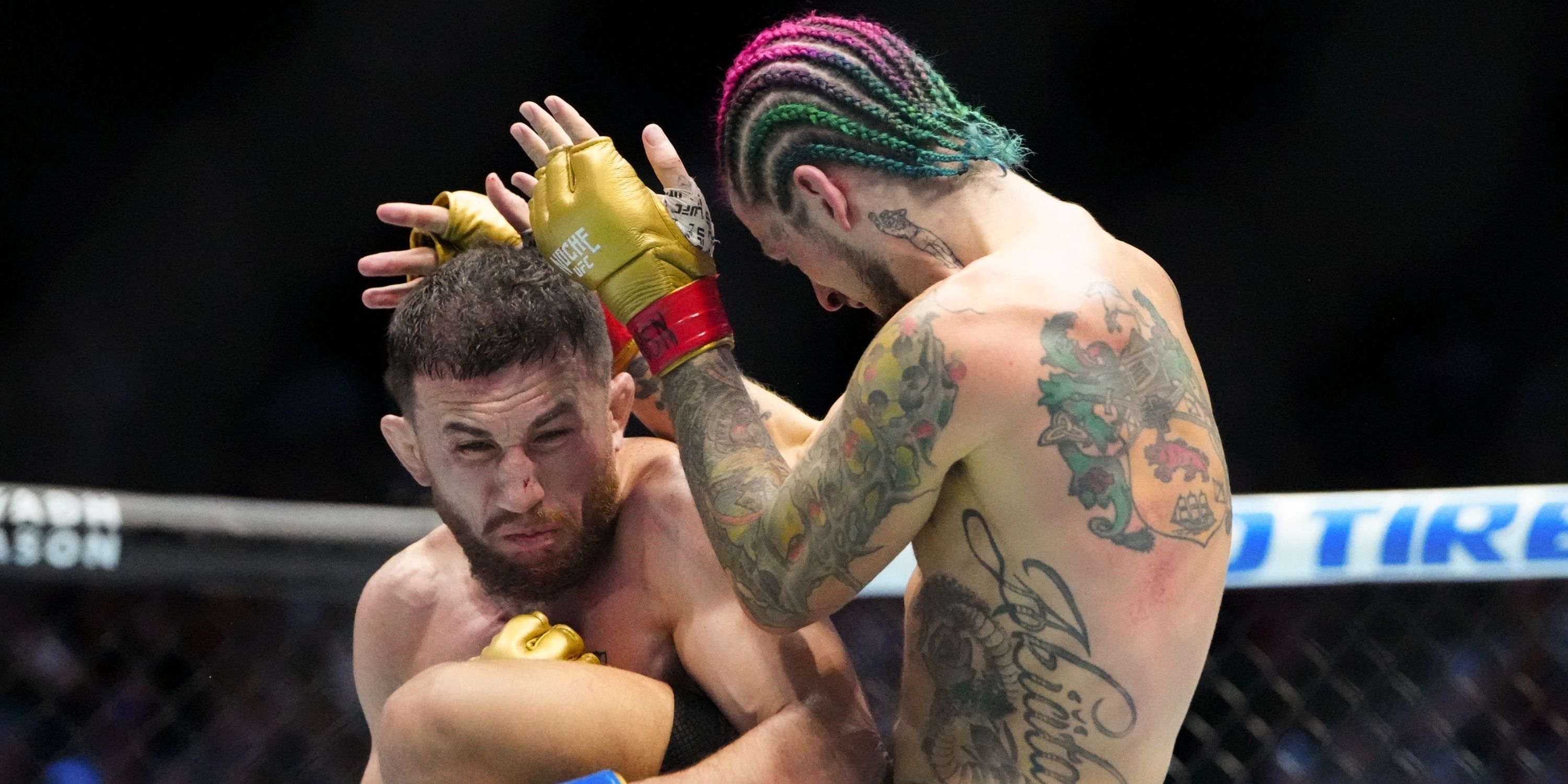 Merab Dvalishvili Explains Why he Kissed Sean O'Malley