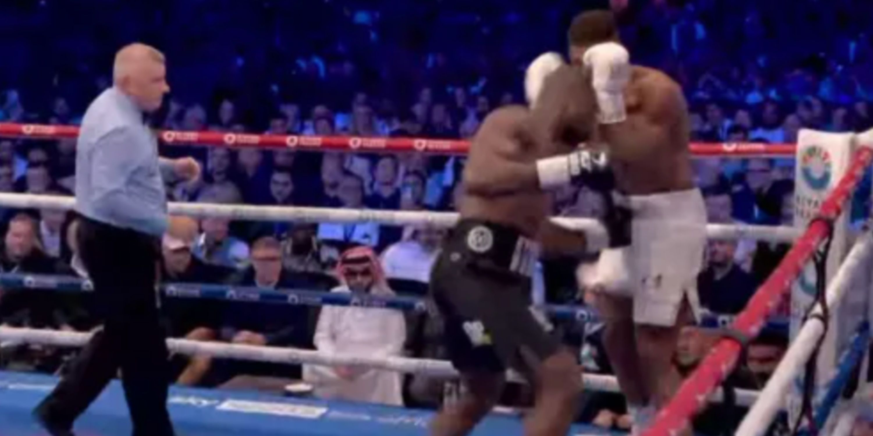 Daniel Dubois low blow