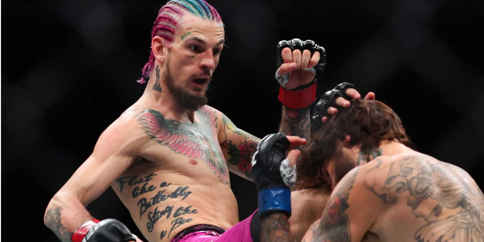 Sean O'Malley's Top 5 UFC Wins [Ranked]