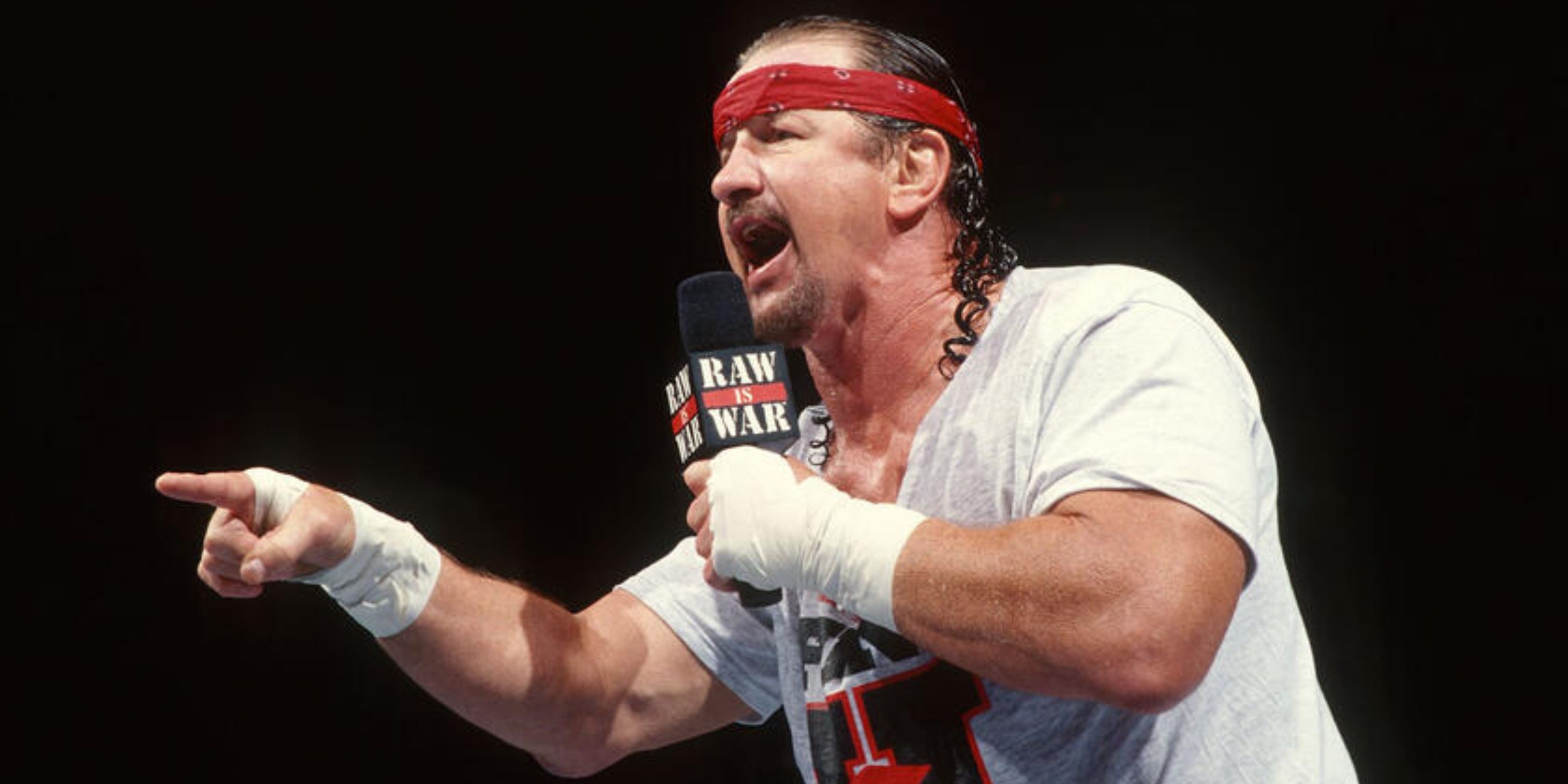 Terry Funk in WWF ECW