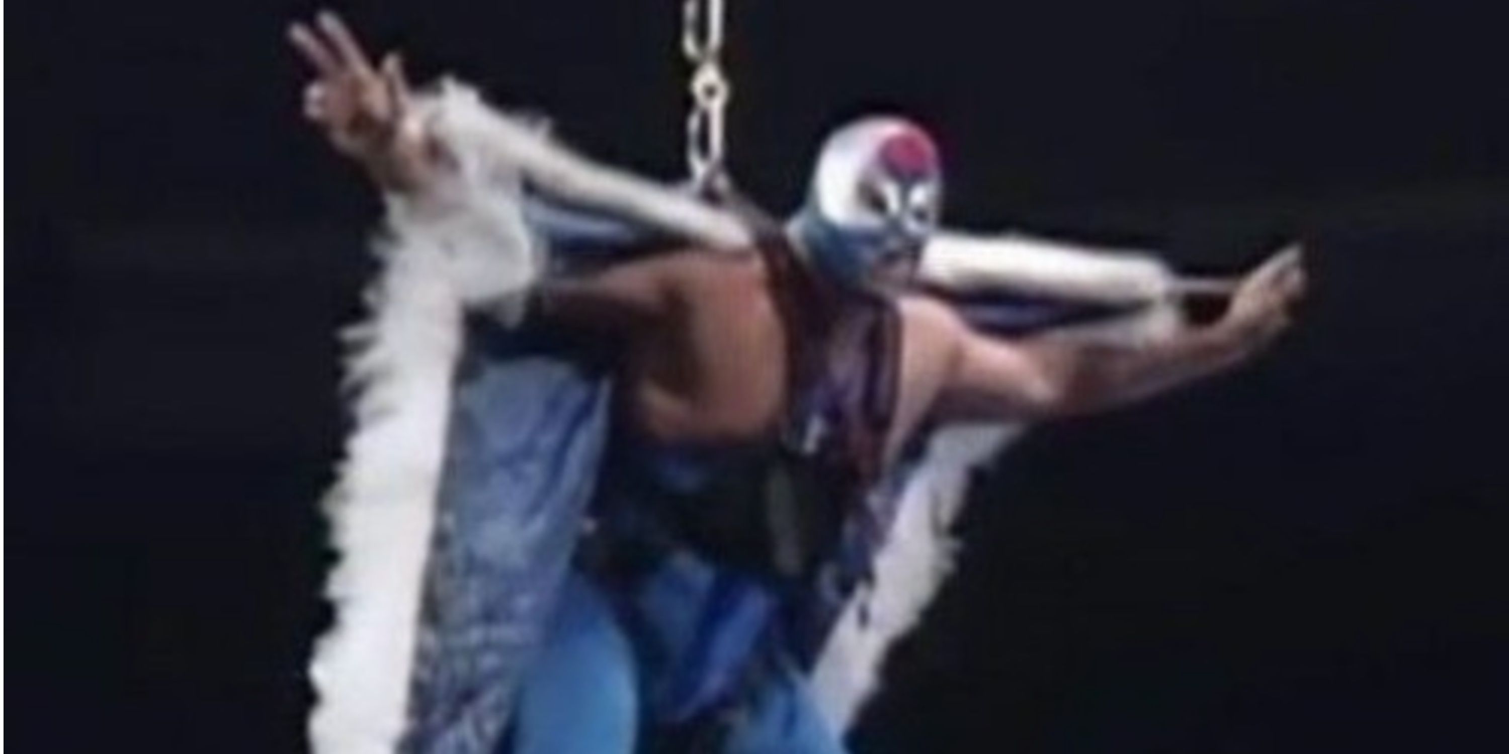Vince McMahon Explains Why WWE Show Continued After Owen Hart's Death