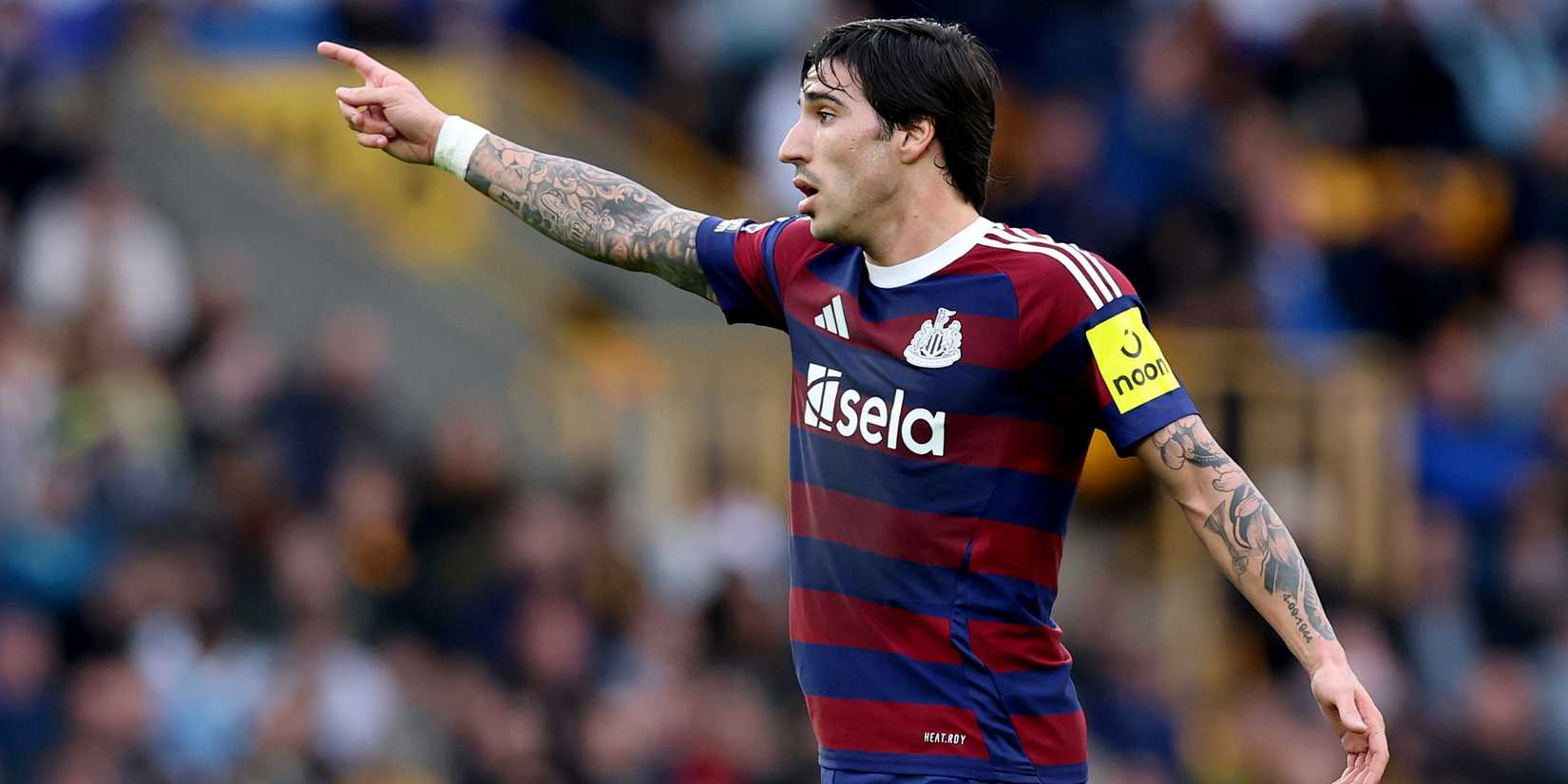 Sandro Tonali Newcastle