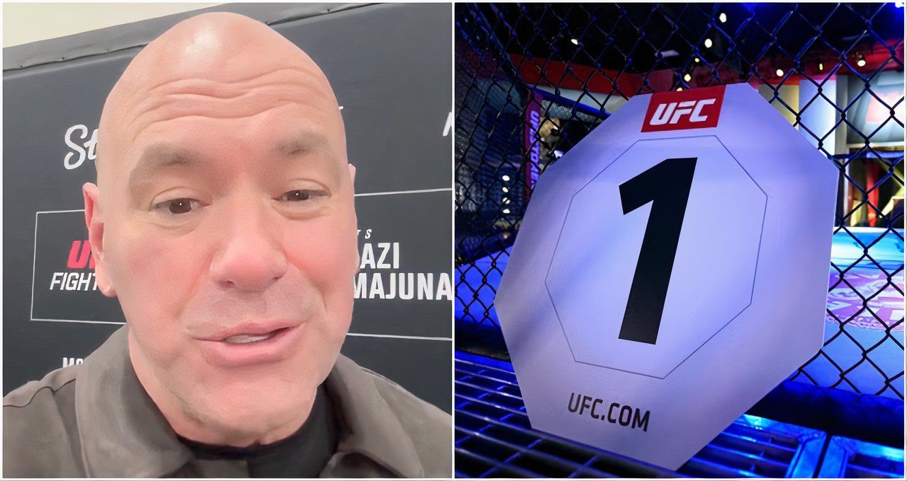 How UFC Rules Have Now Changed