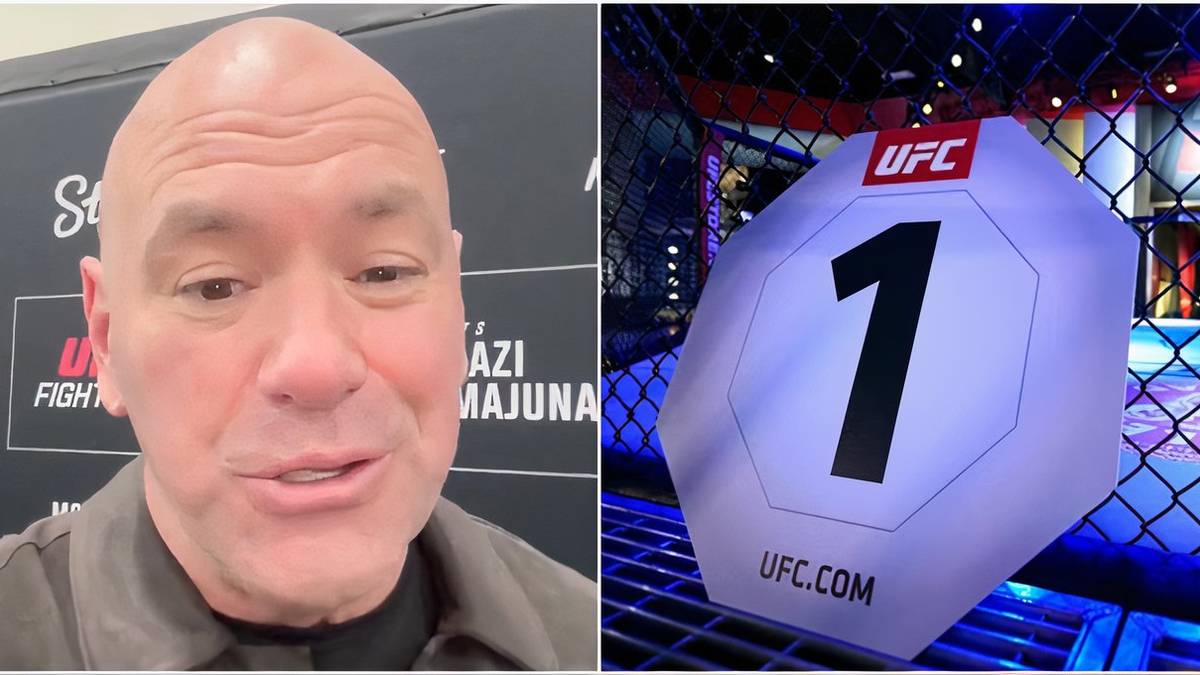 How UFC Rules Have Now Changed