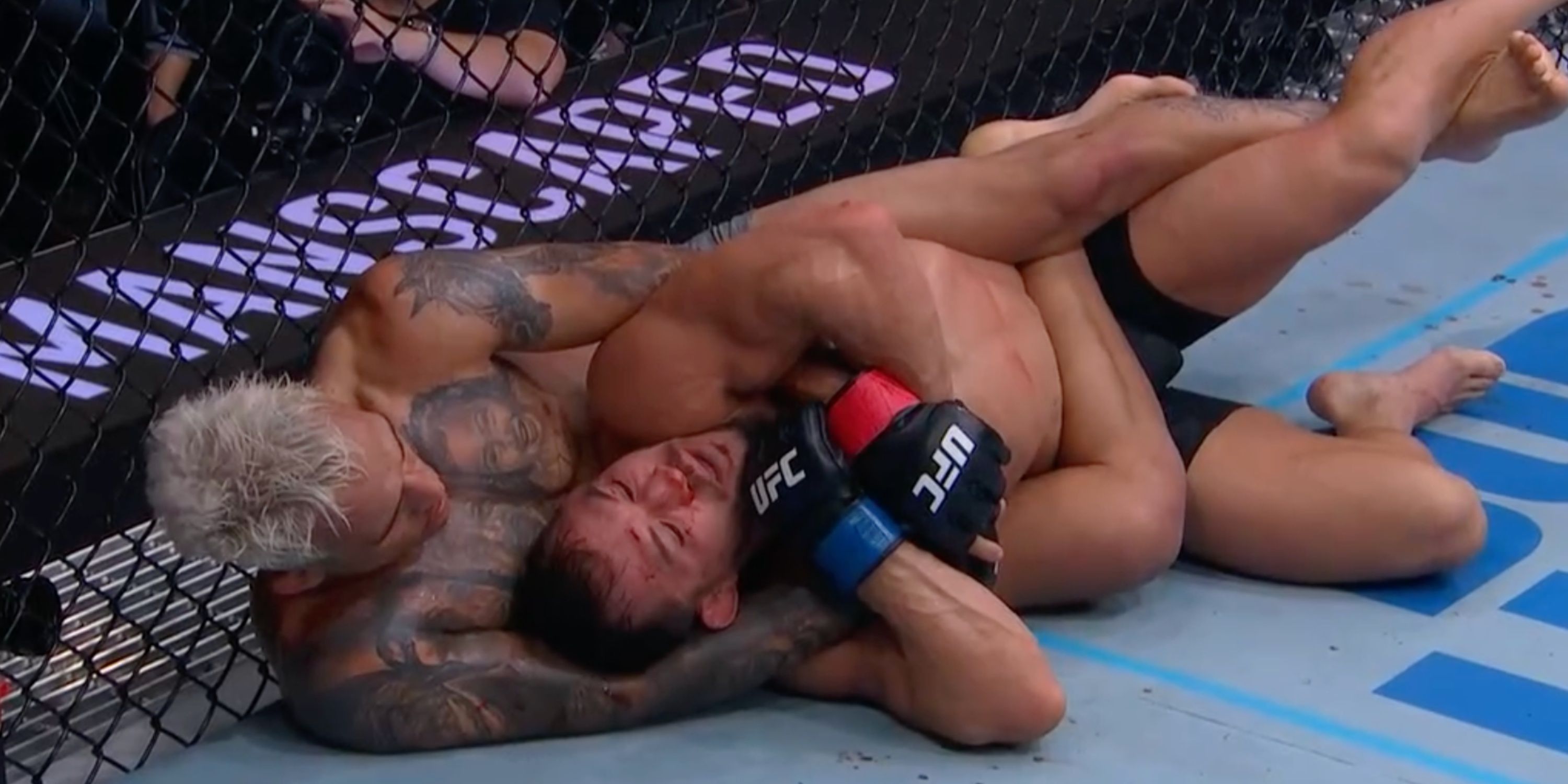 MixCollage-17-Nov-2024-05-50-AM-9440-2