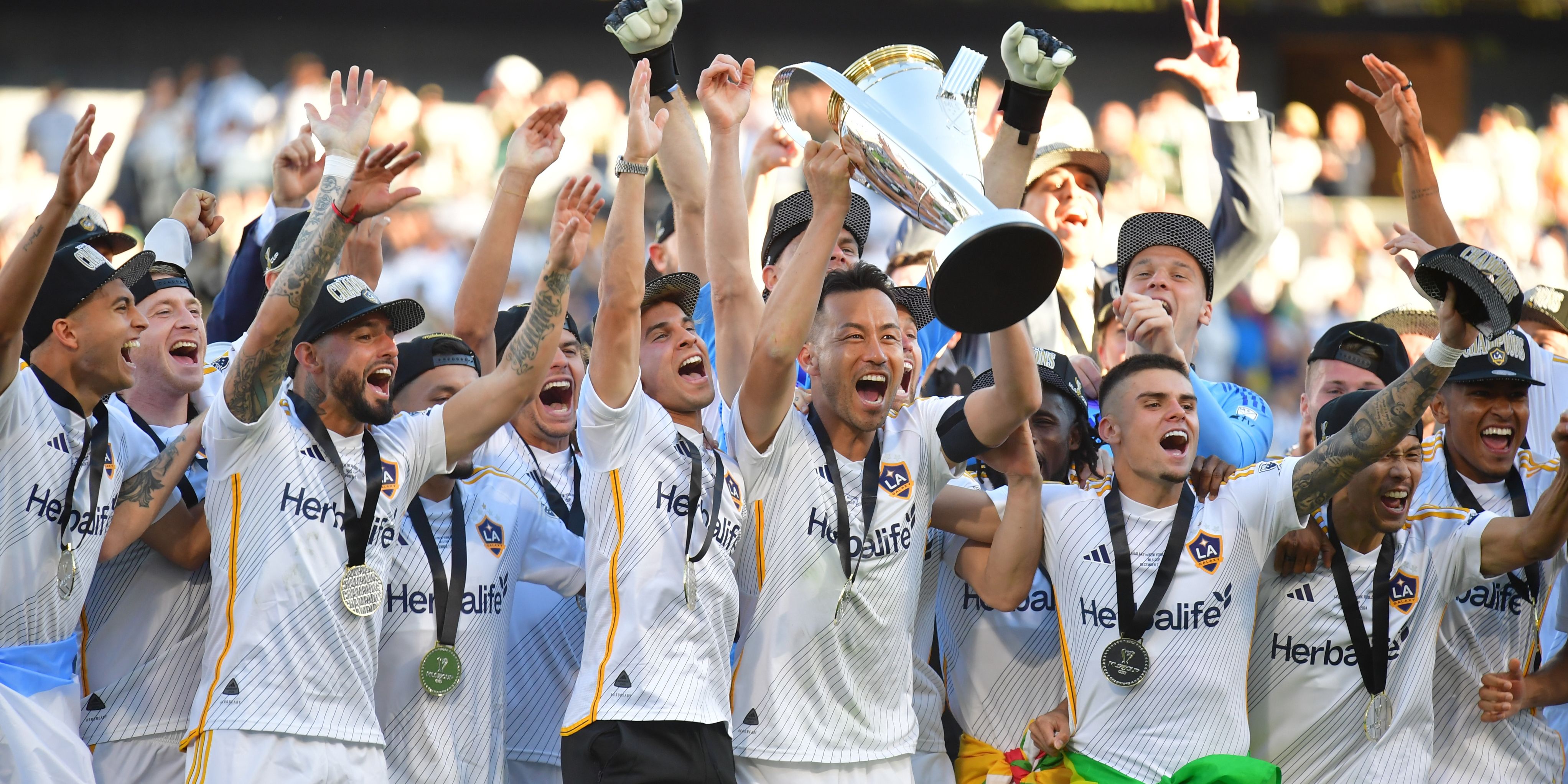 LA Galaxy MLS Cup