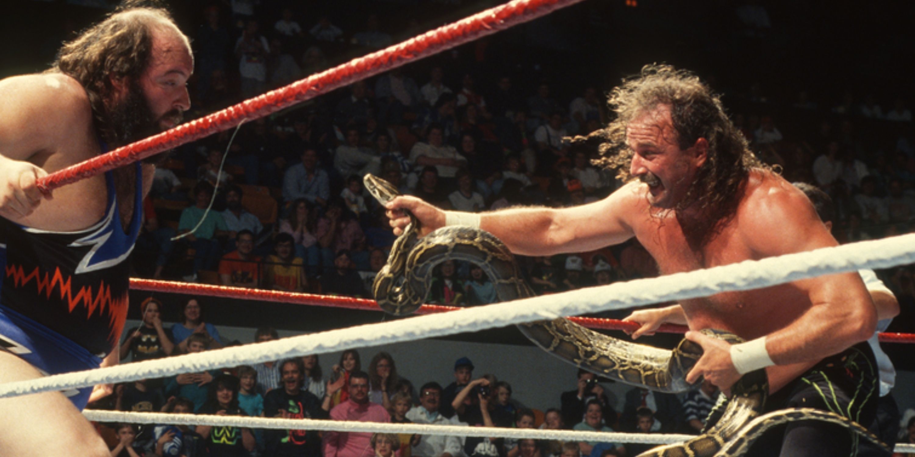 Jake The Snake Roberts