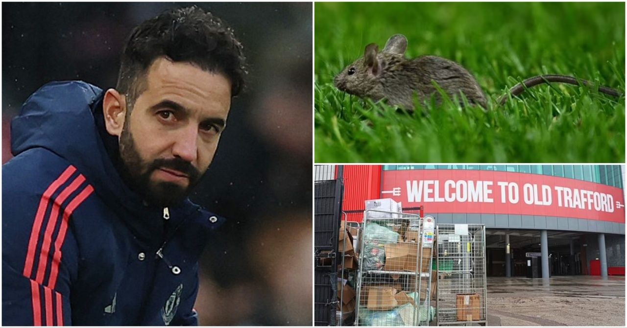 Manchester United Hit by Mice 'Infestation' in New Low for Old Trafford