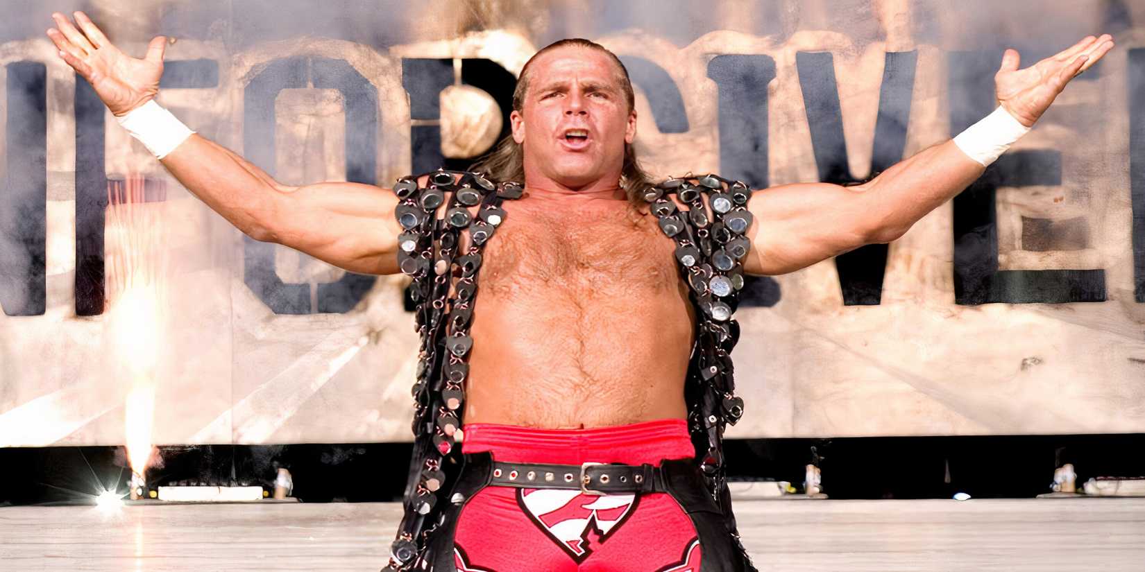 Shawn Michaels (1)