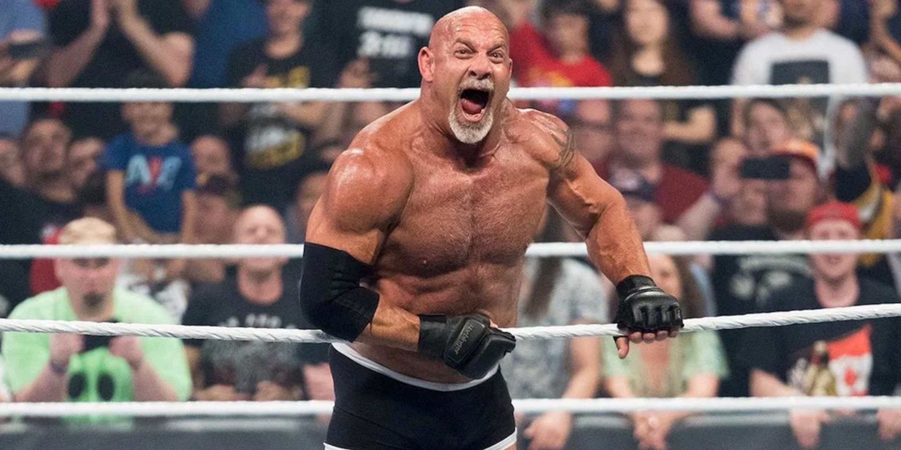 Ranking the 10 Toughest Wrestlers in WWE History