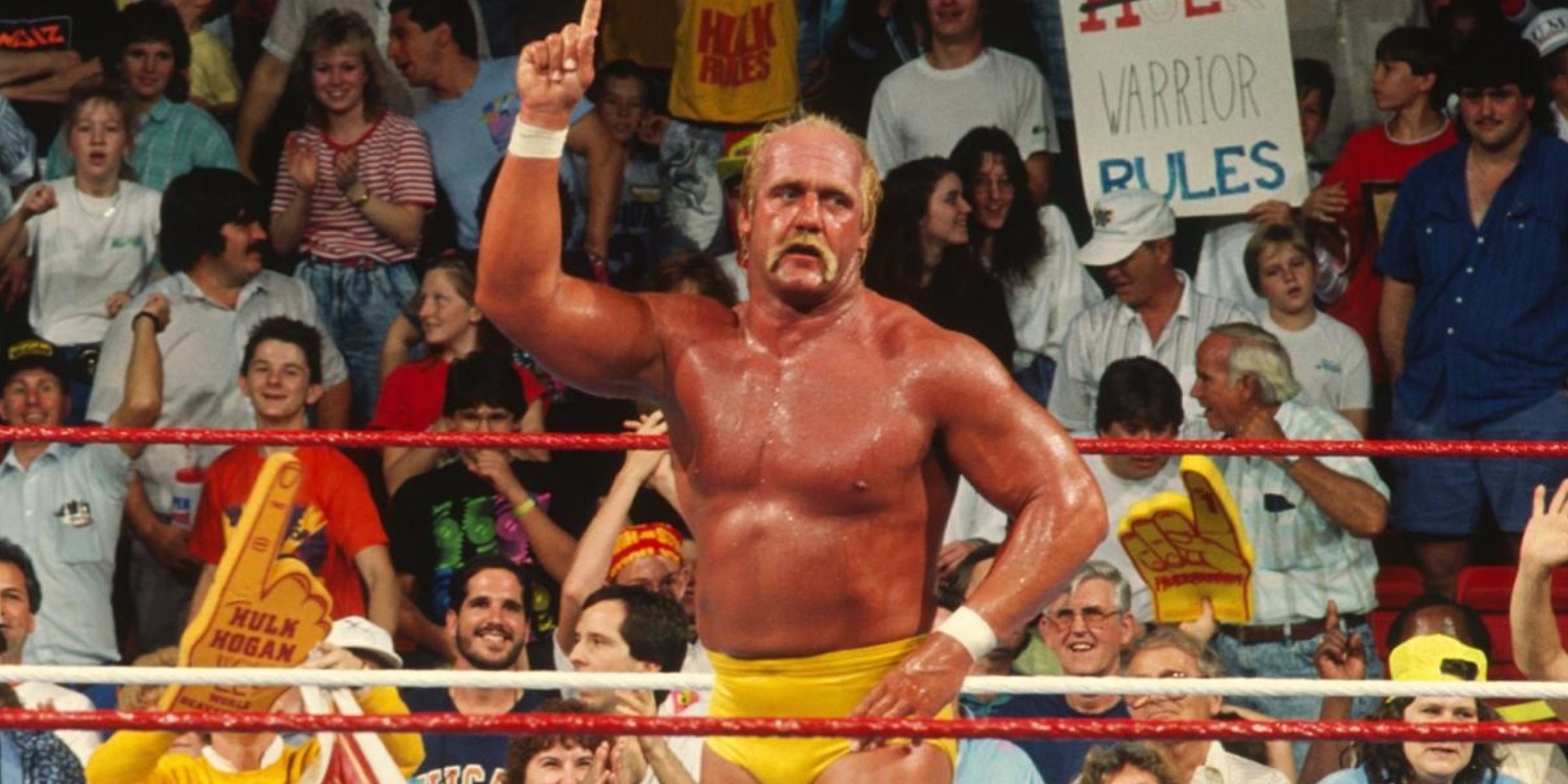 Hulk Hogan Rumble WWE