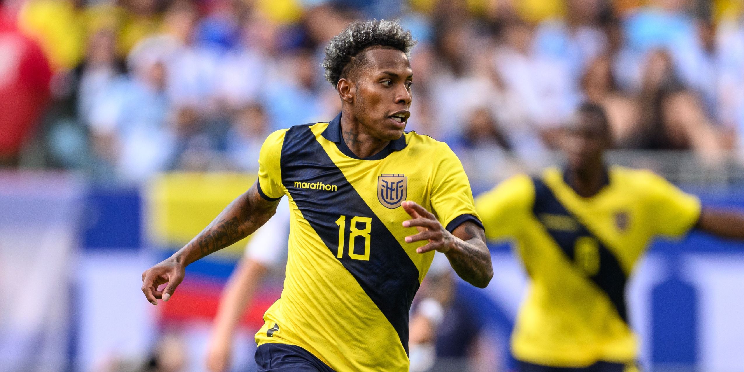 Joao Ortiz - Portland