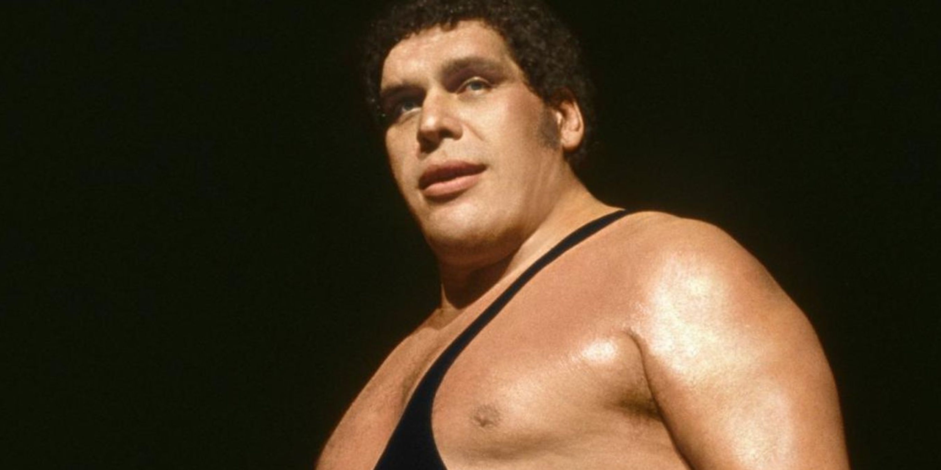 WWE Superstar Andre The Giant watches on.