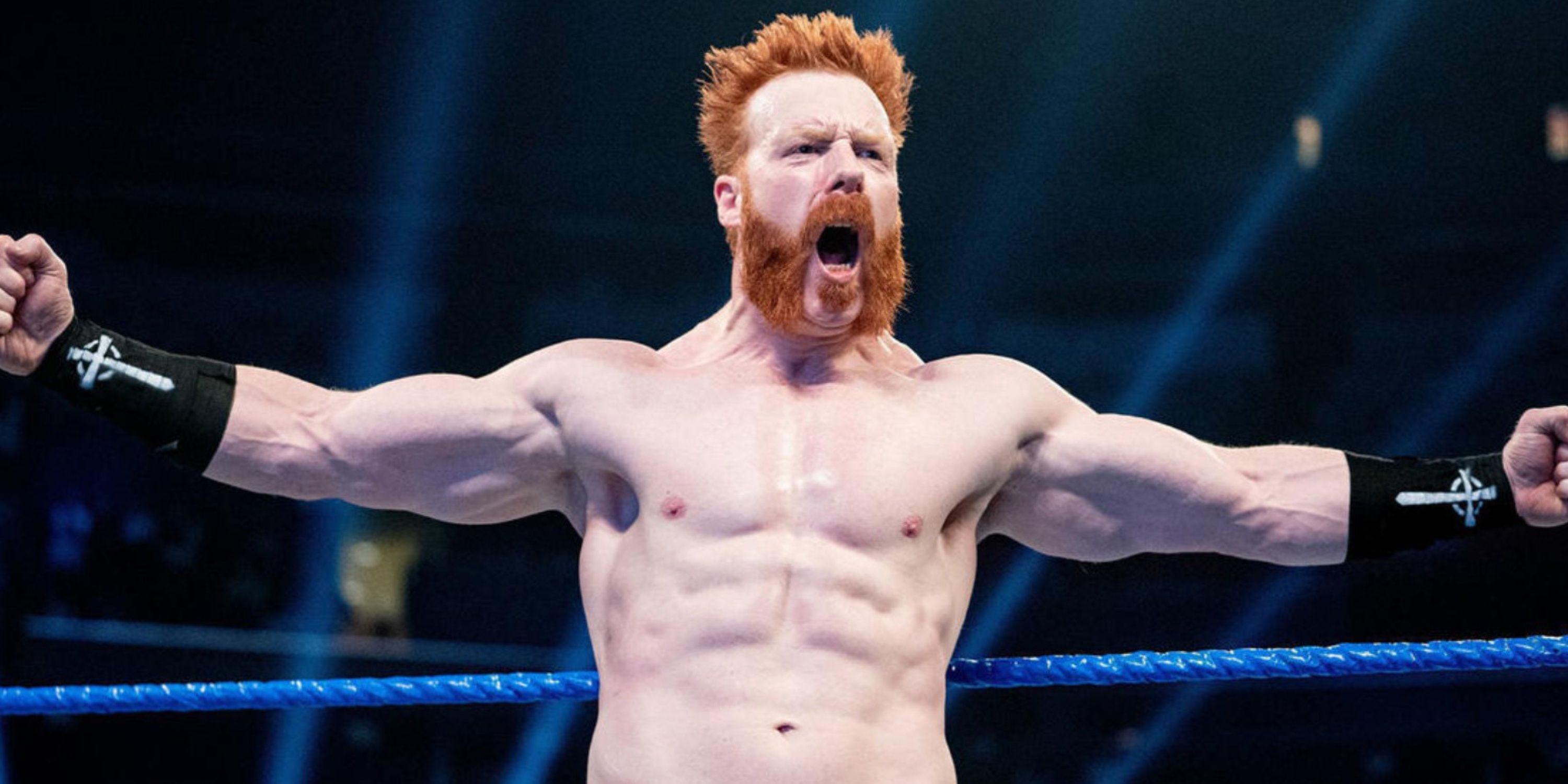 Sheamus posing