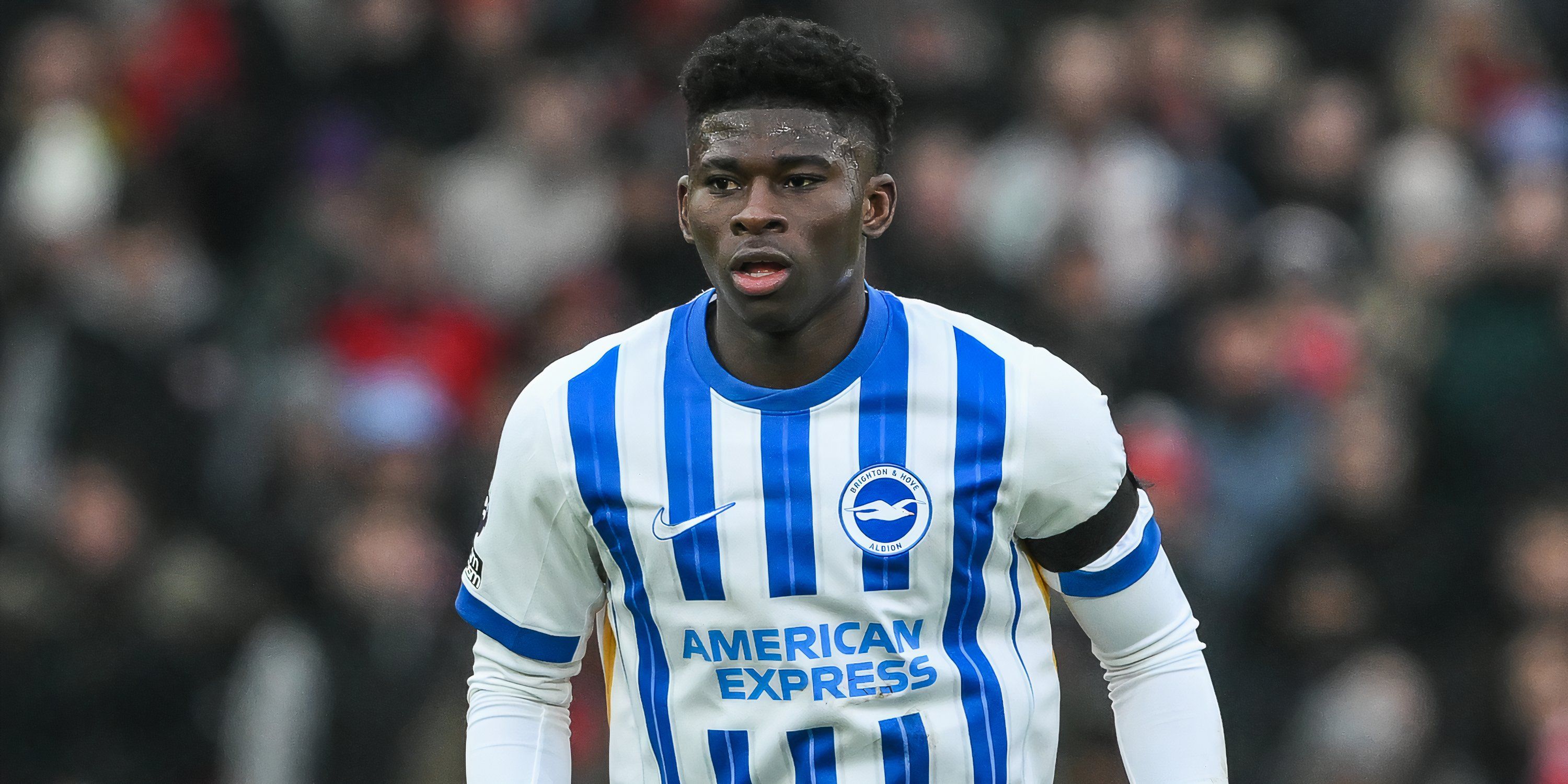 Carlos Baleba in action for Brighton & Hove Albion