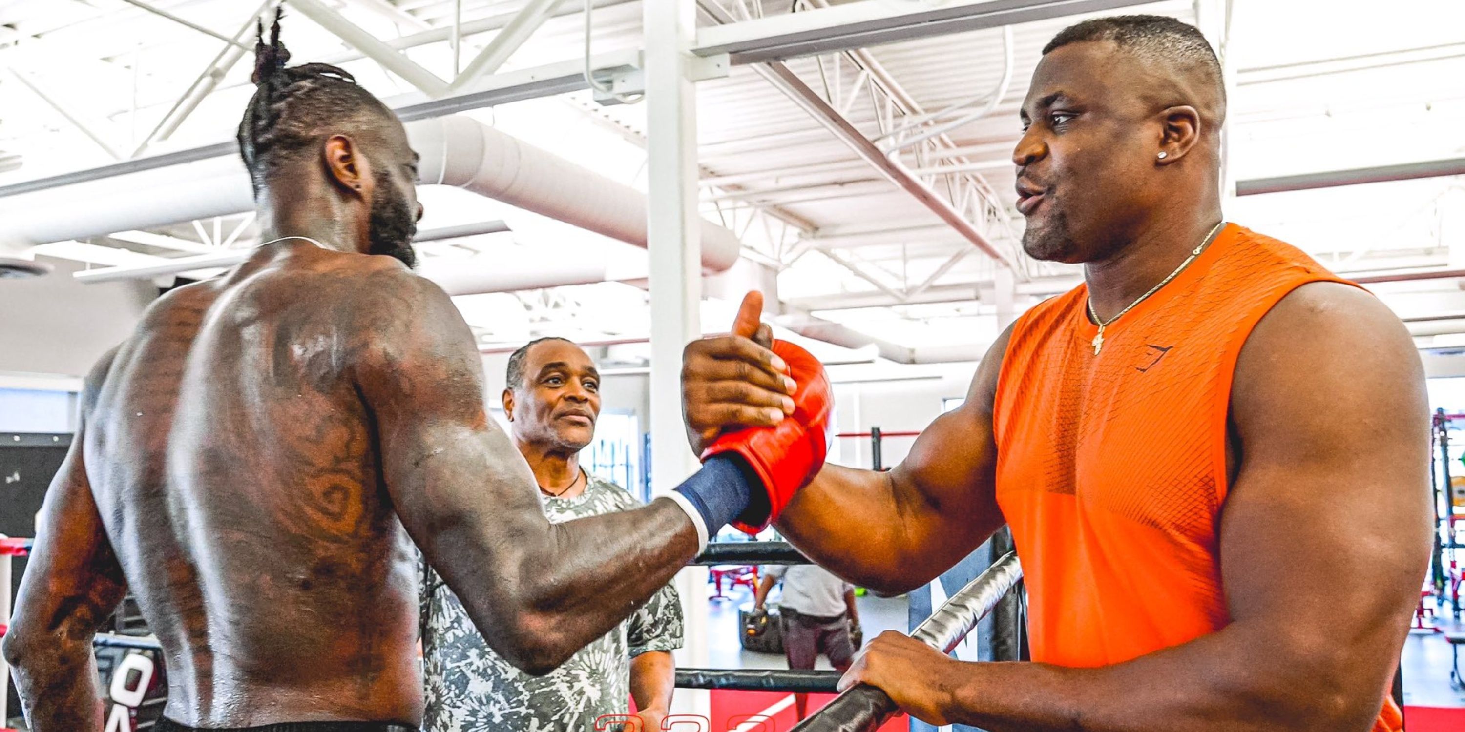 Deontay Wilder and Francis Ngannou
