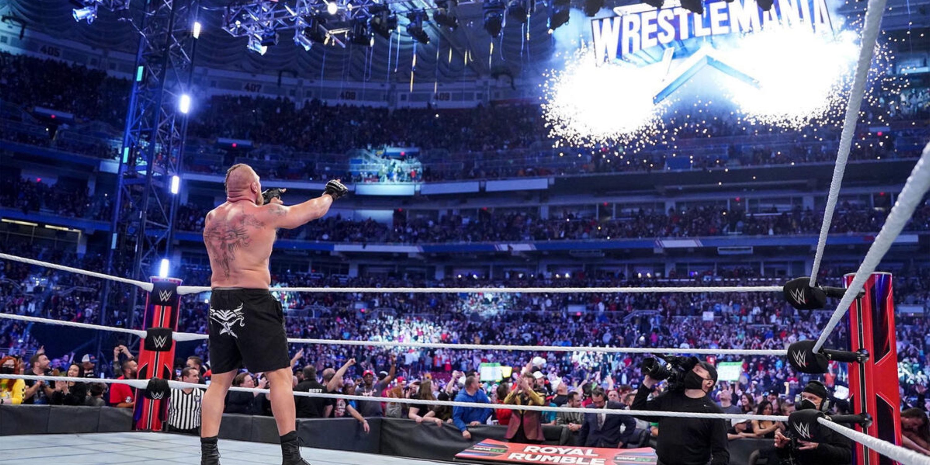 WWE Brock Lesnar Royal Rumble