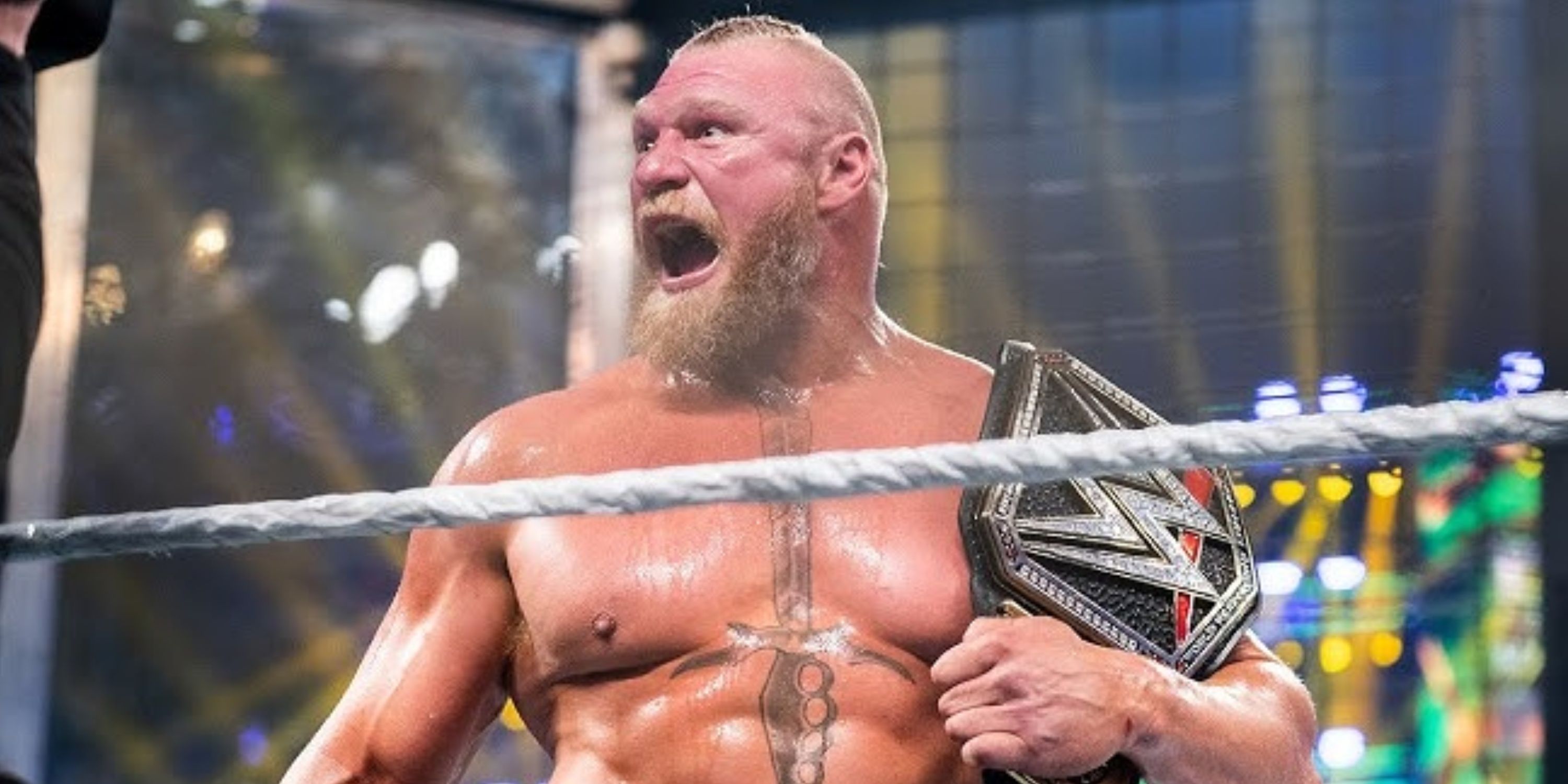 Lesnar_Elimination_Chamber