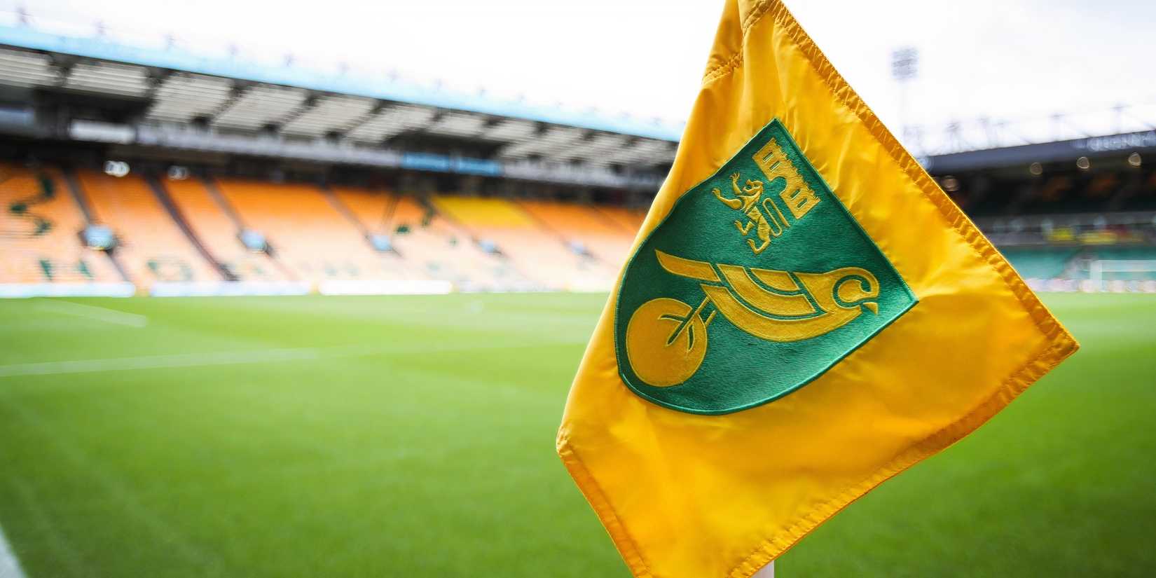 Norwich City Flag