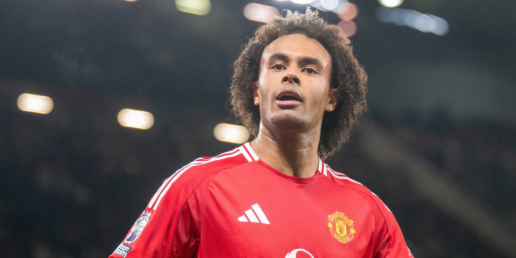 zirkzee man utd