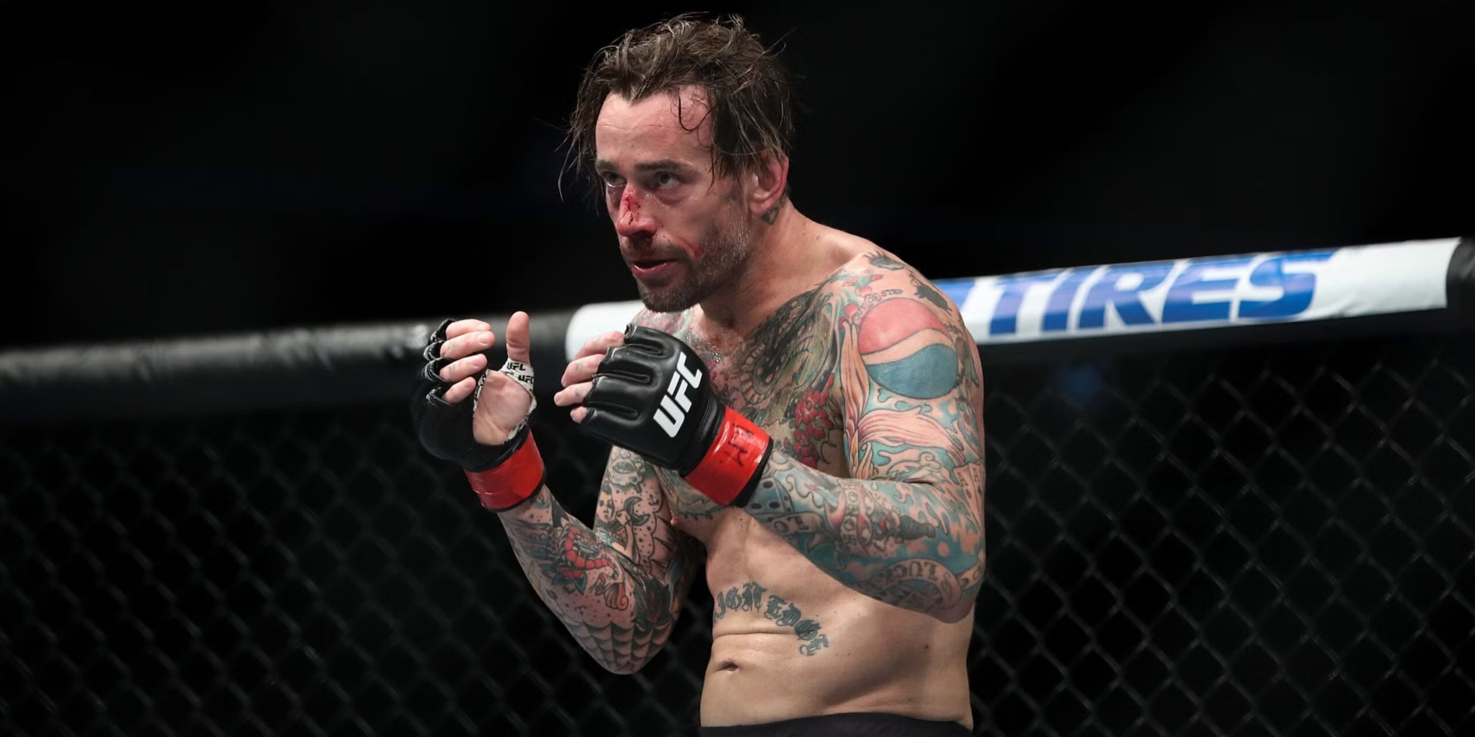 CM Punk UFC
