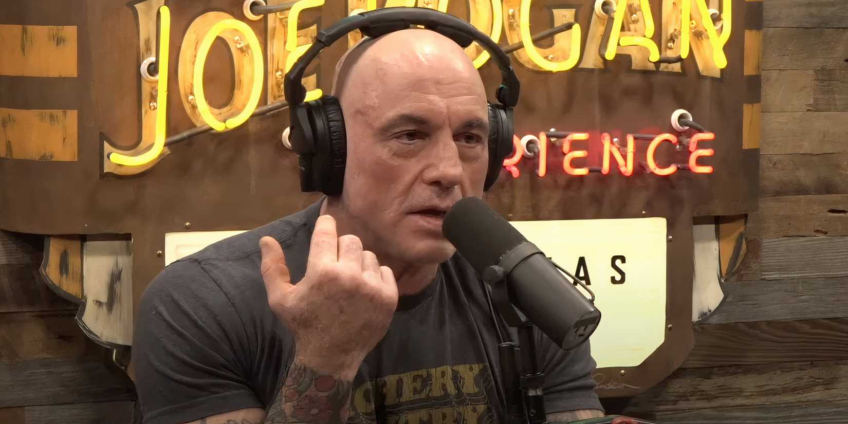 Fixed or Not? Joe Rogan Comments on Jake Paul vs Anthony Joshua Boxing ...