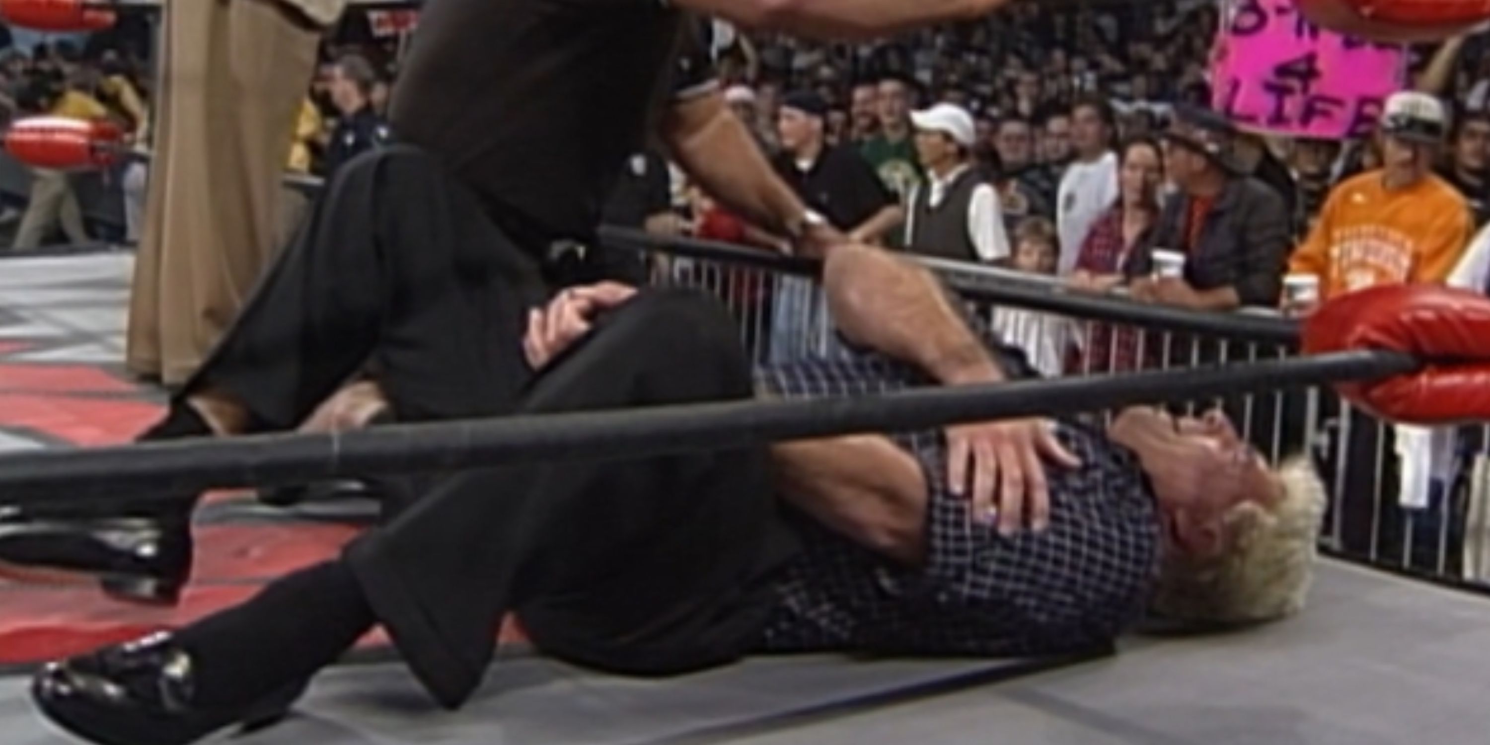 Ric Flair WCW
