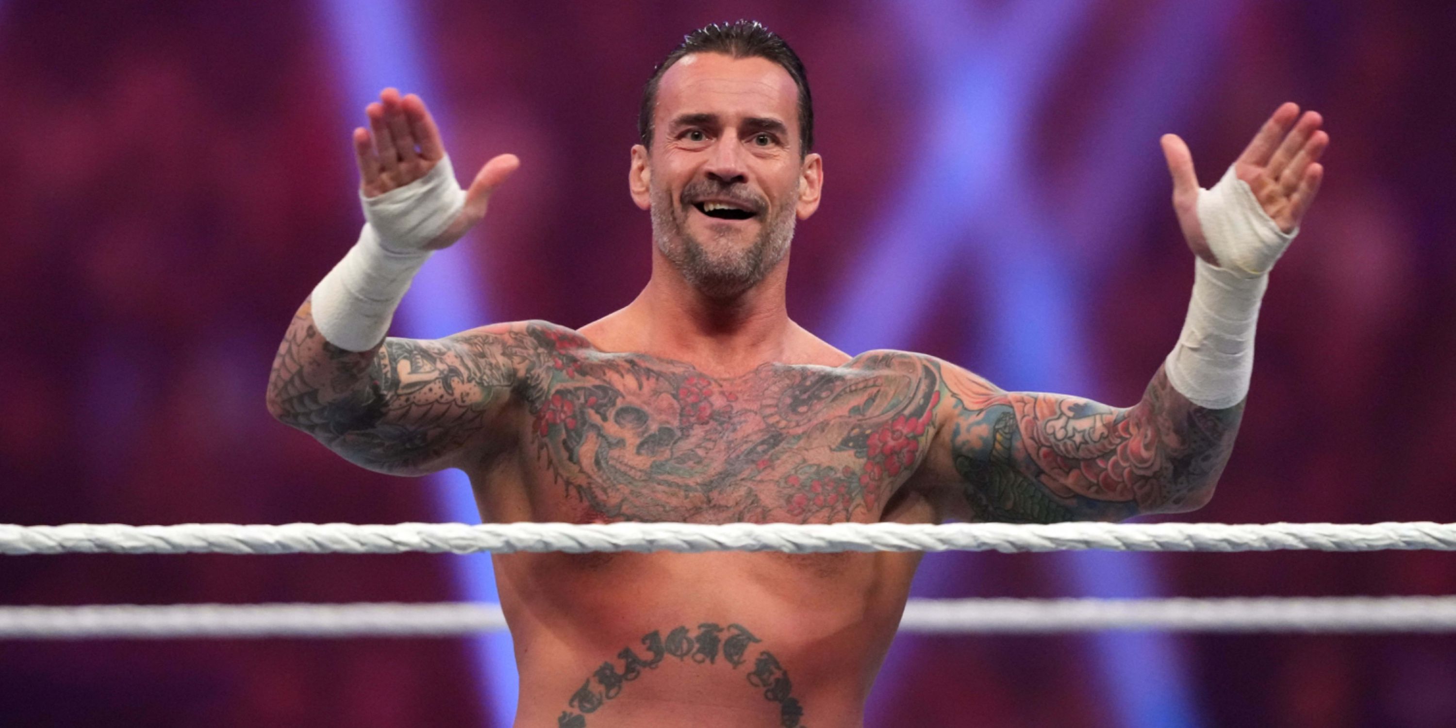 CM Punk in RR WWE