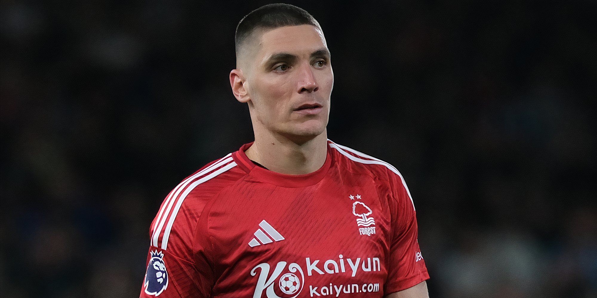milenkovic