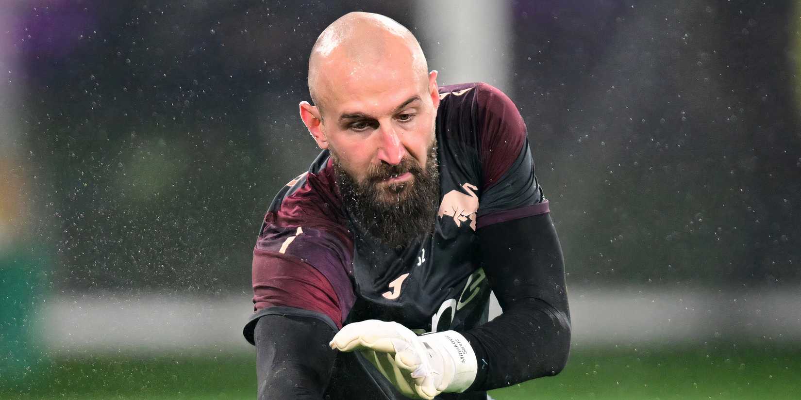 Vanja Milinkovic-Savic at Torino making a save