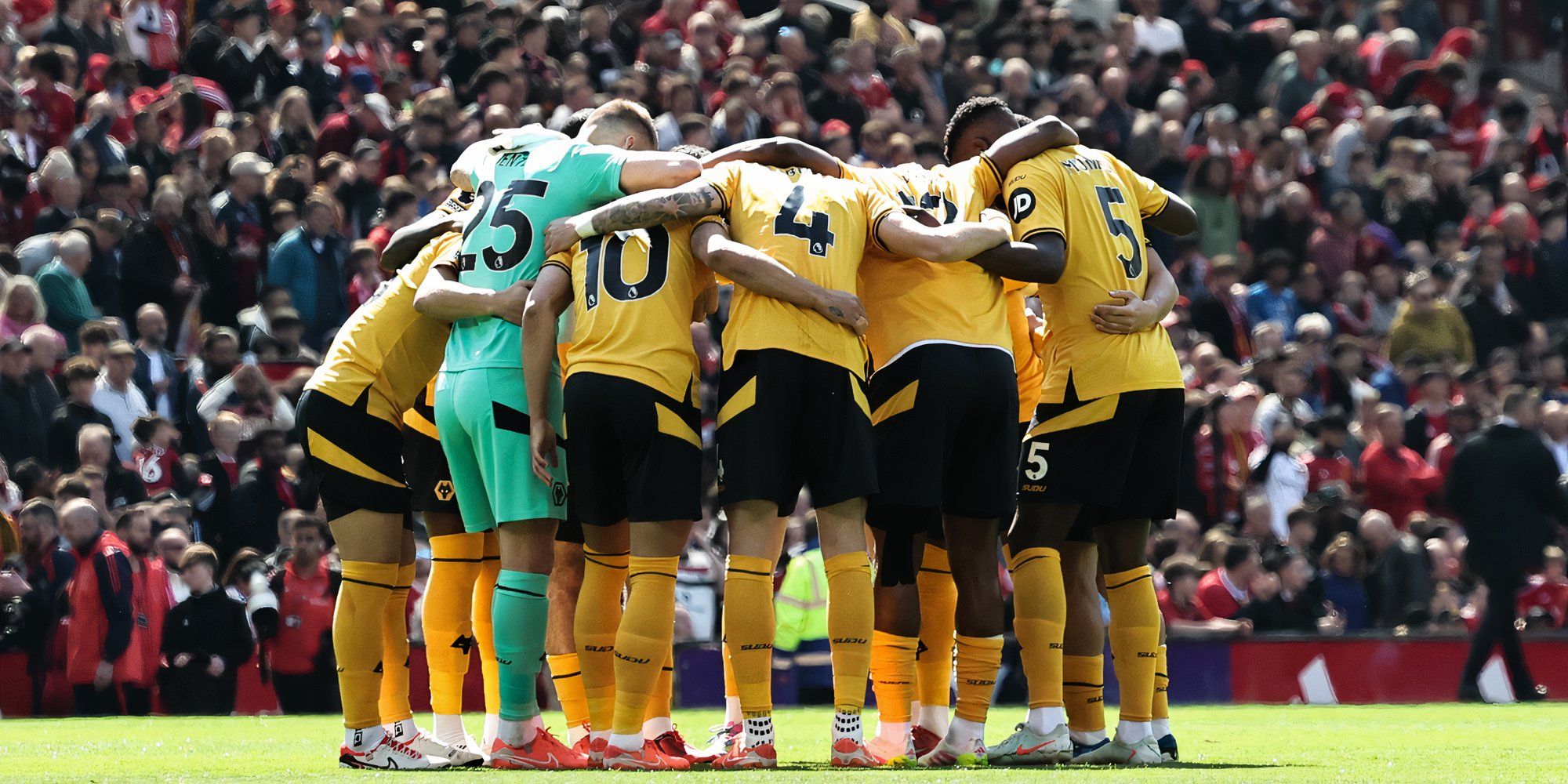 wolves 