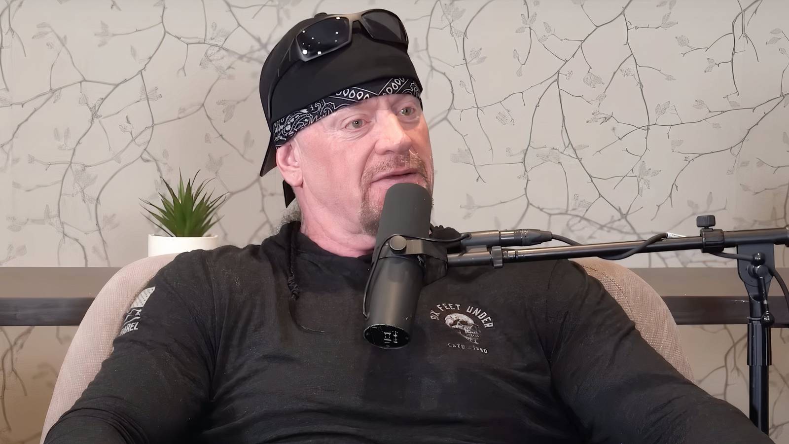 The Undertaker Named One Move He Hated Taking During WWE Career