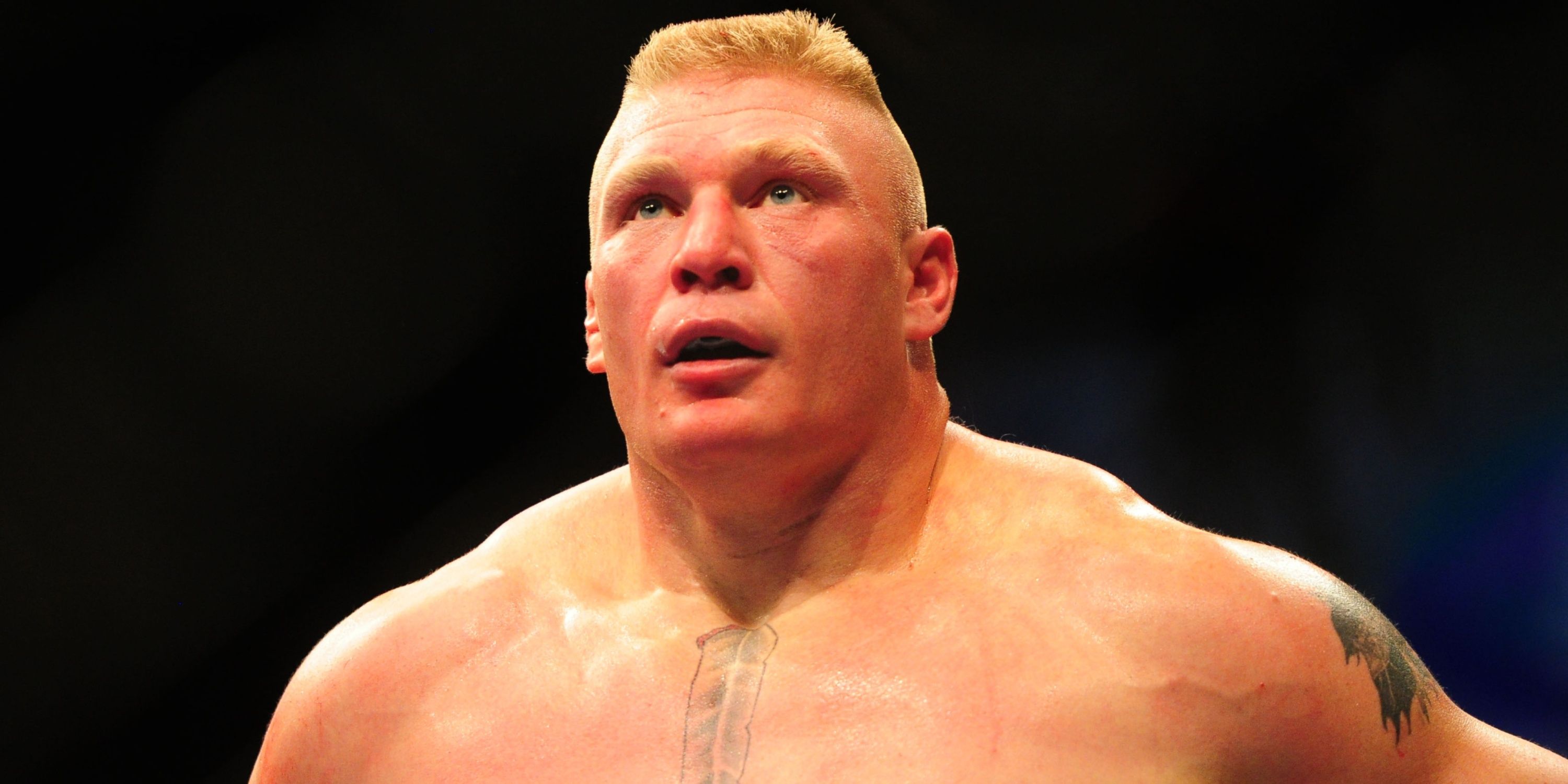 Brock Lesnar