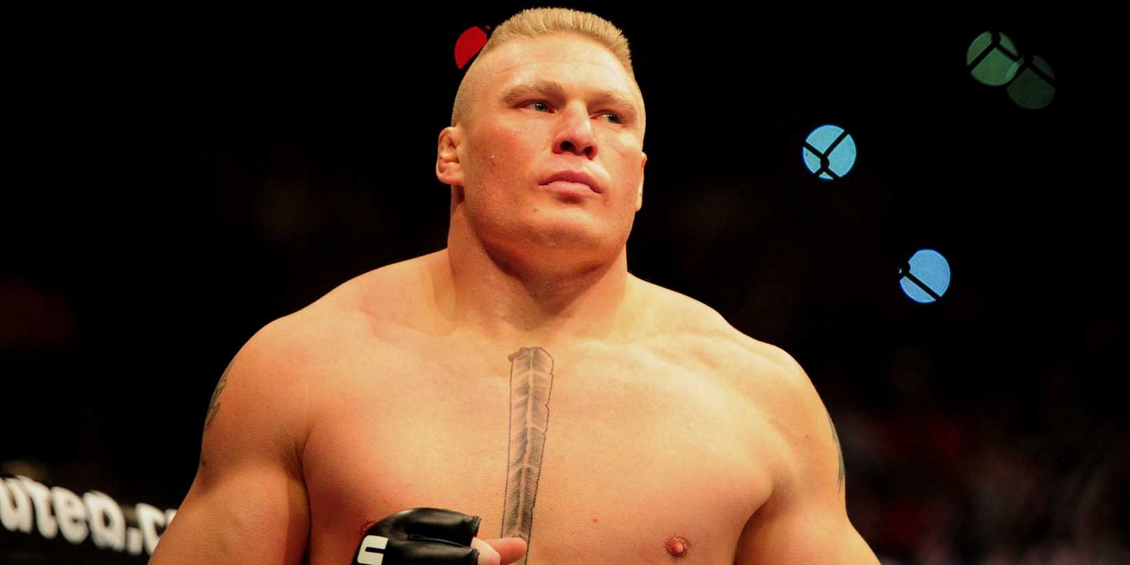 Brock Lesnar in the UFC
