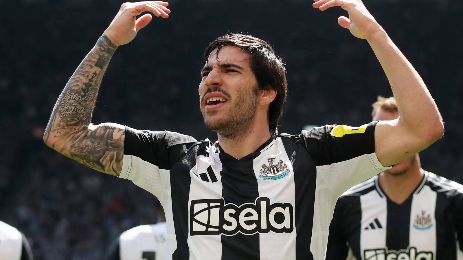 Tottenham Hold 'Positive Talks' Over Sandro Tonali Transfer - GiveMeSport