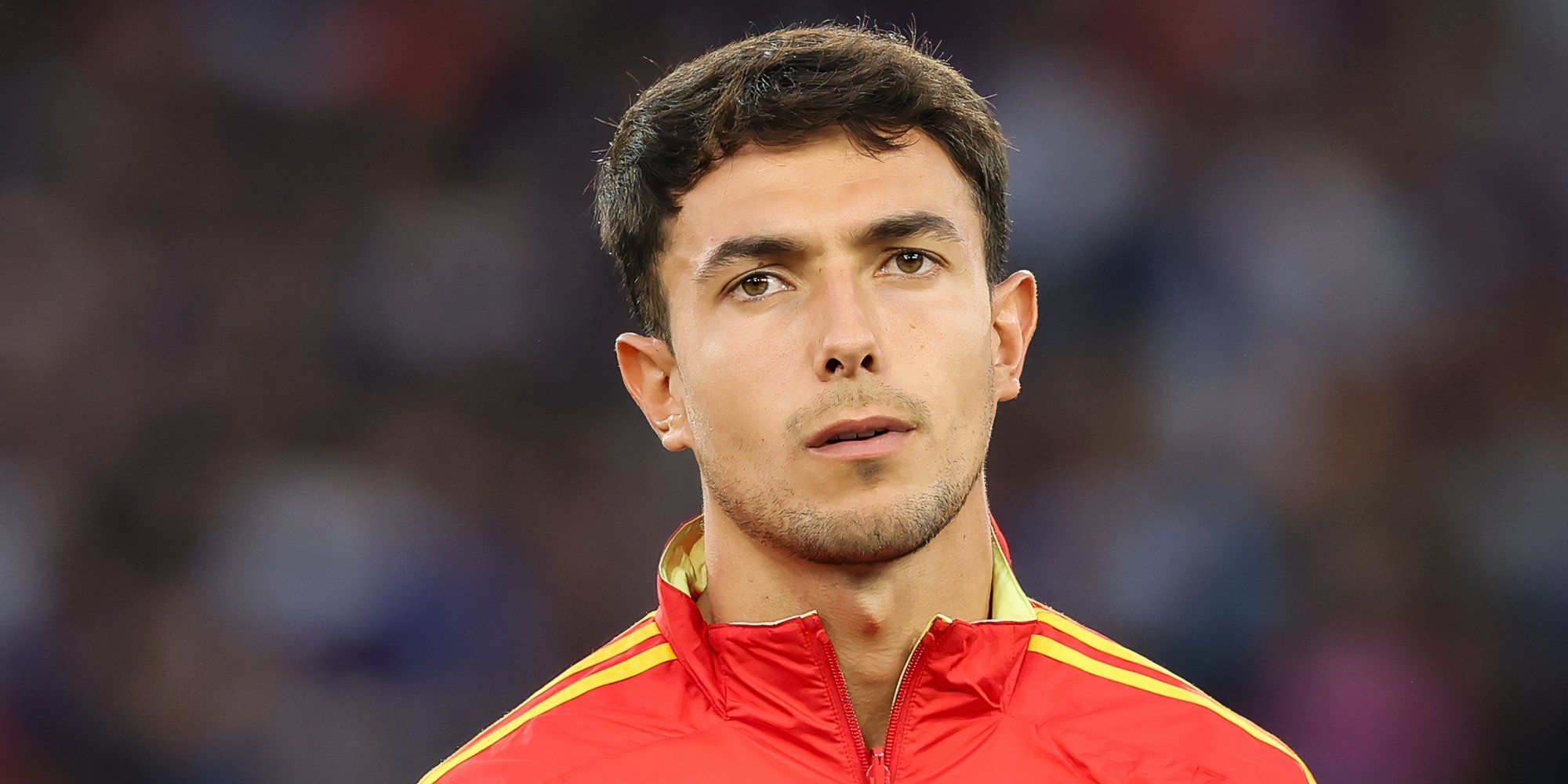 martin zubimendi