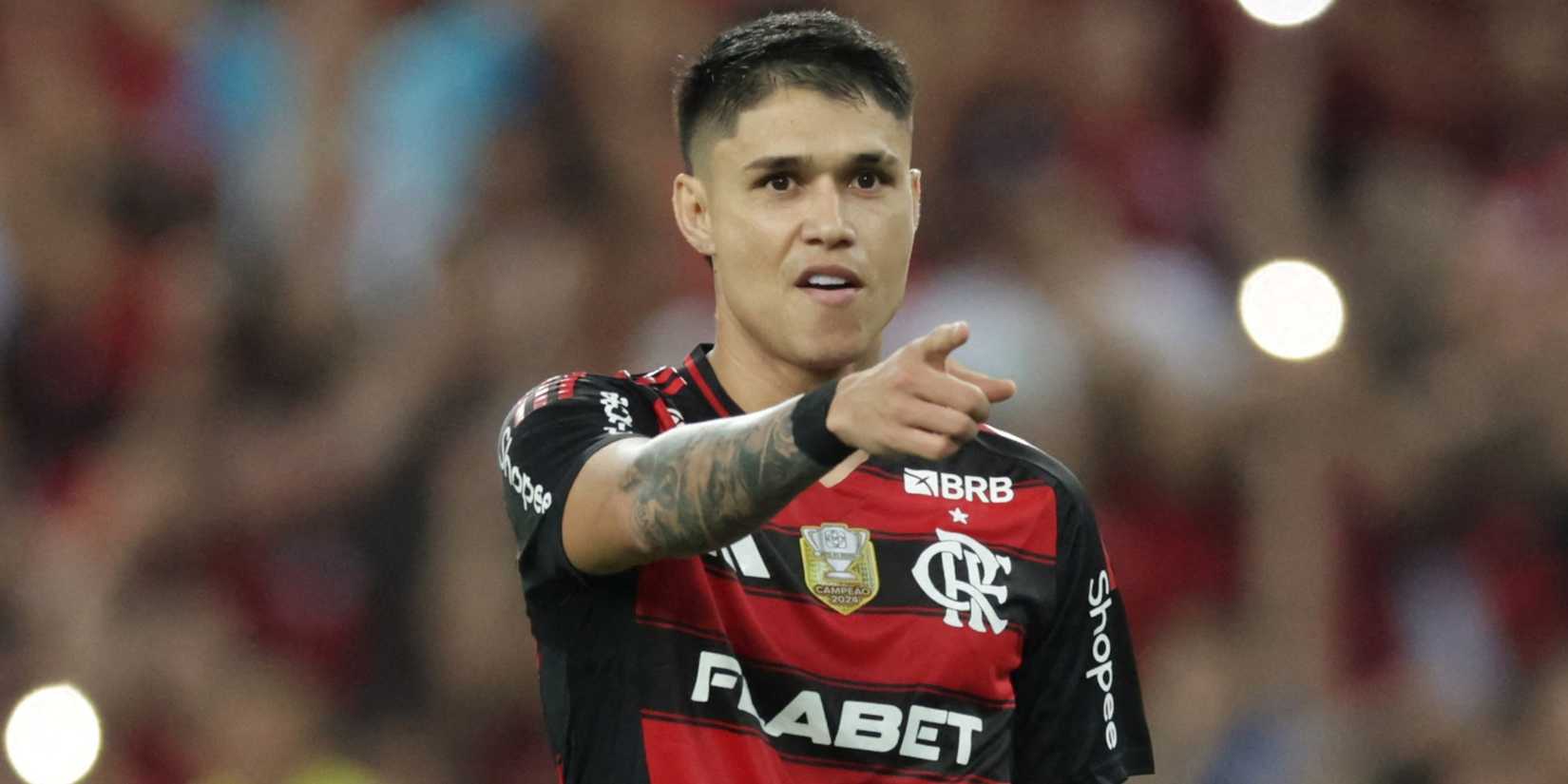 Flamengo's Luiz Araujo
