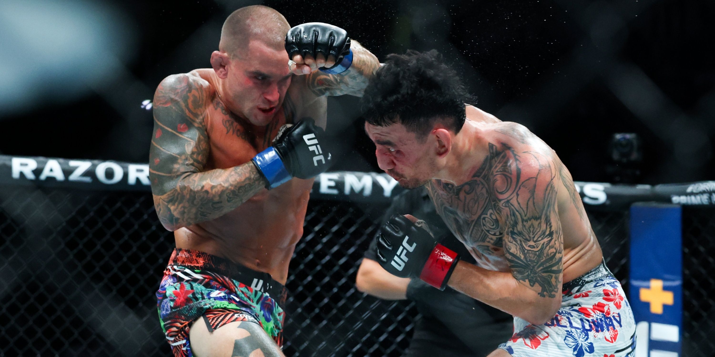 Dustin Poirier & Max Holloway