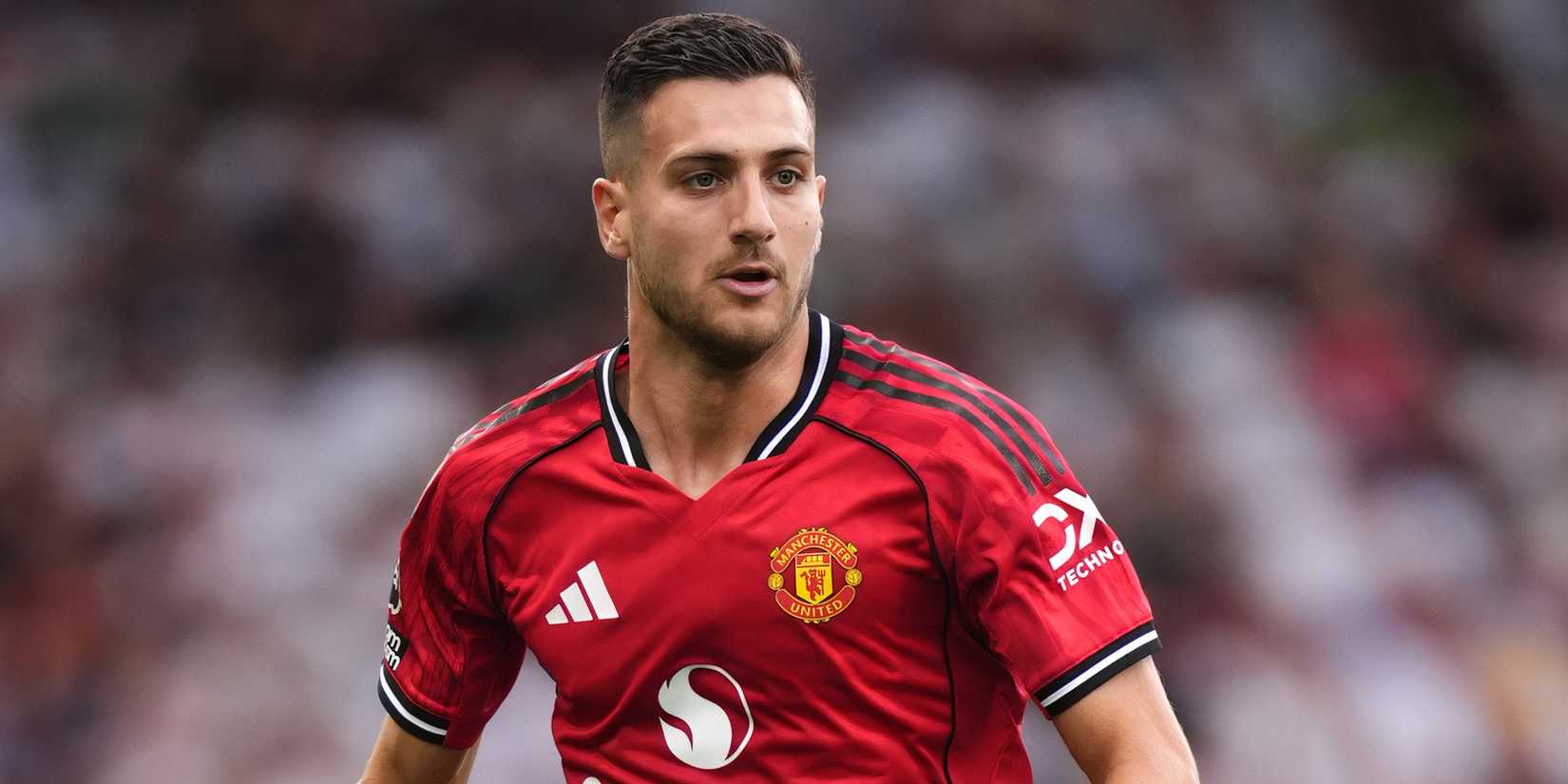 diogo dalot